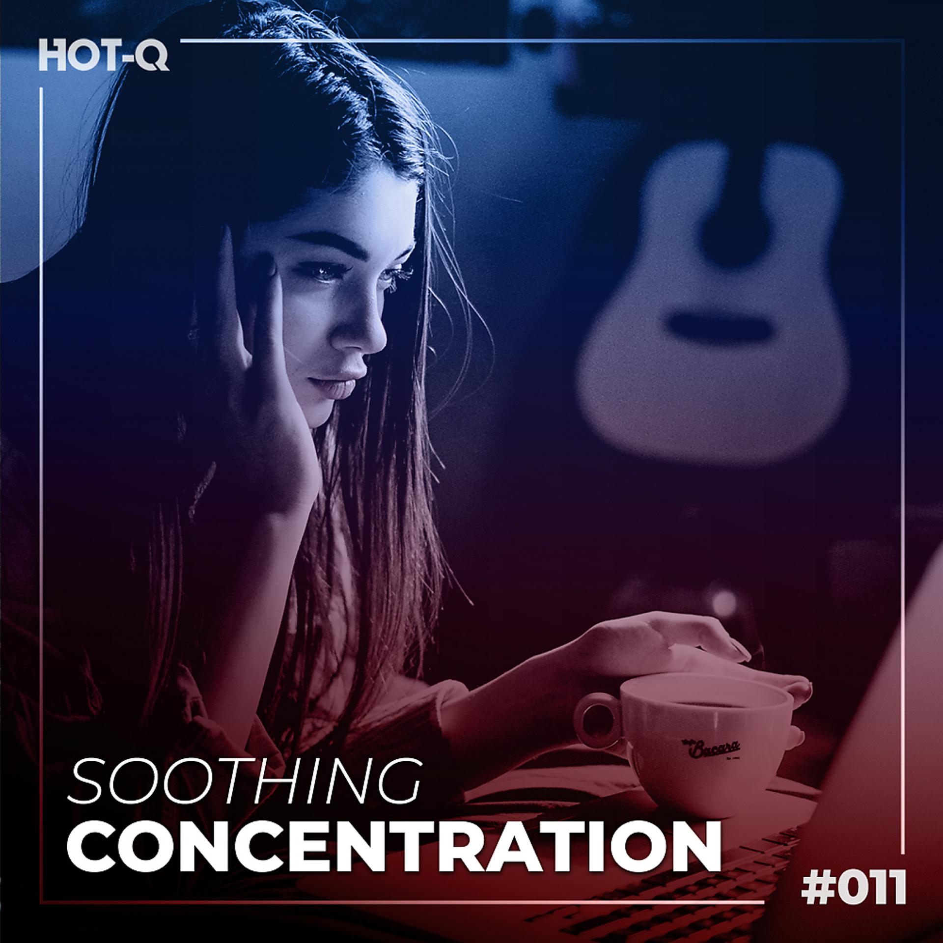 Постер альбома Soothing Concentration 011