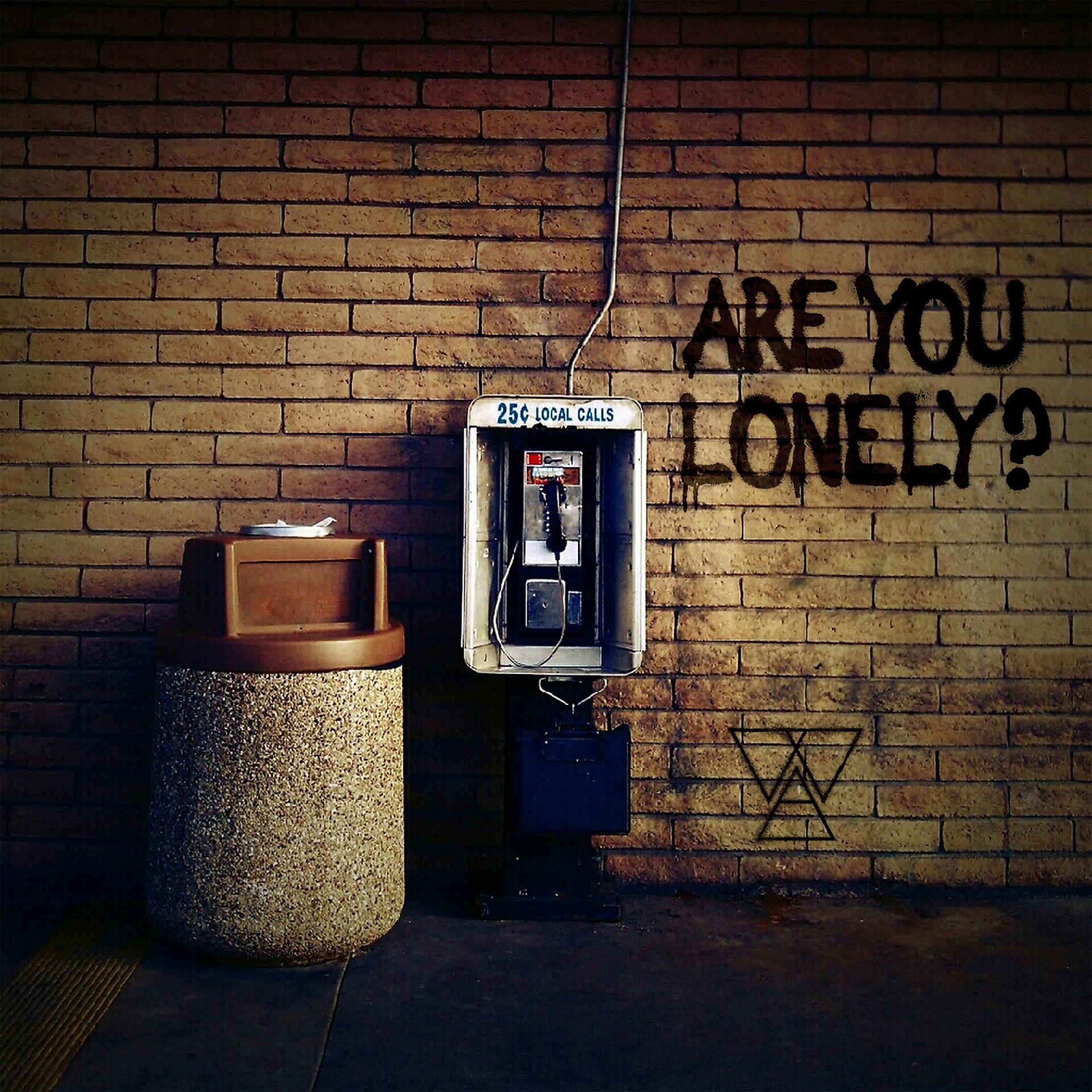 Постер альбома Are You Lonely