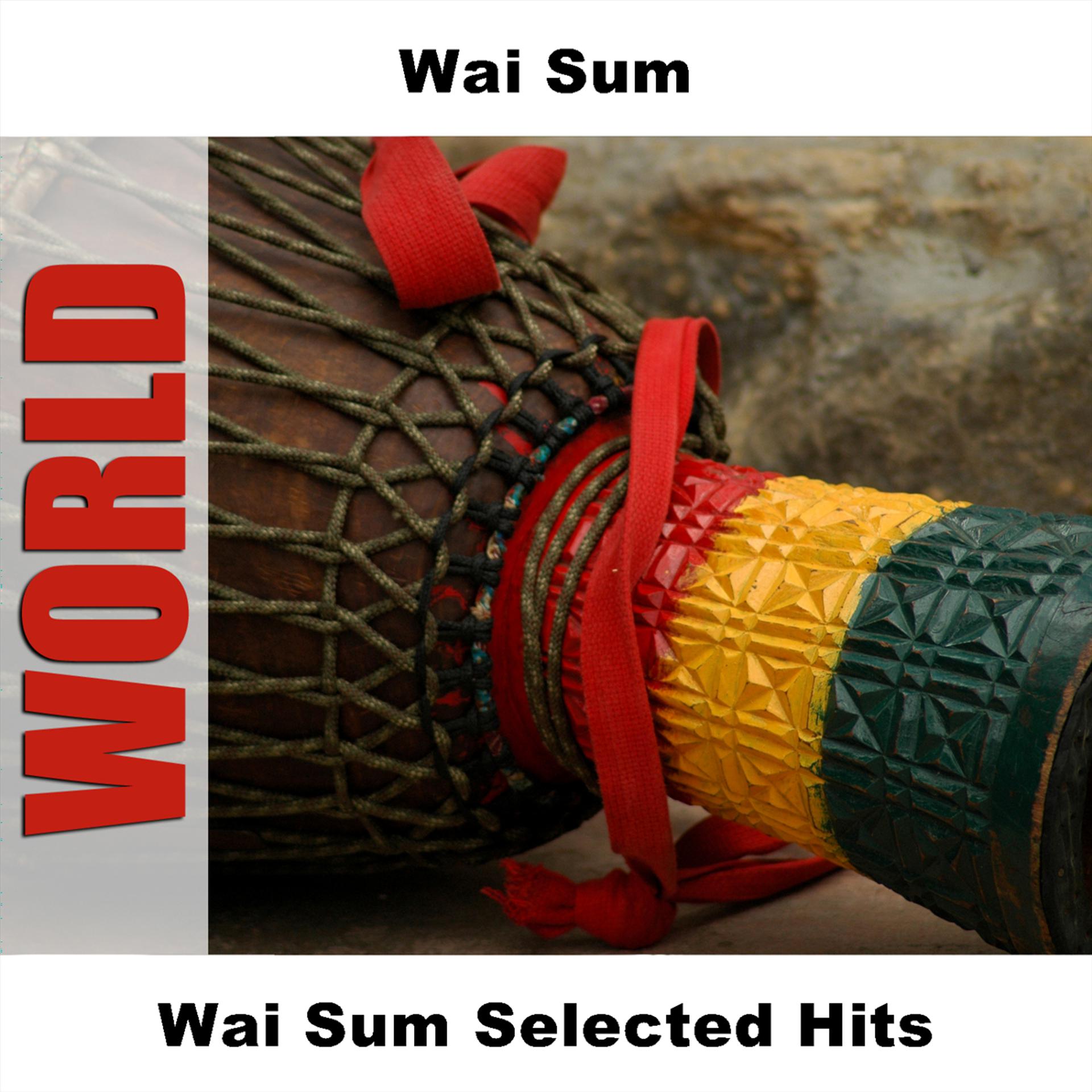 Постер альбома Wai Sum Selected Hits