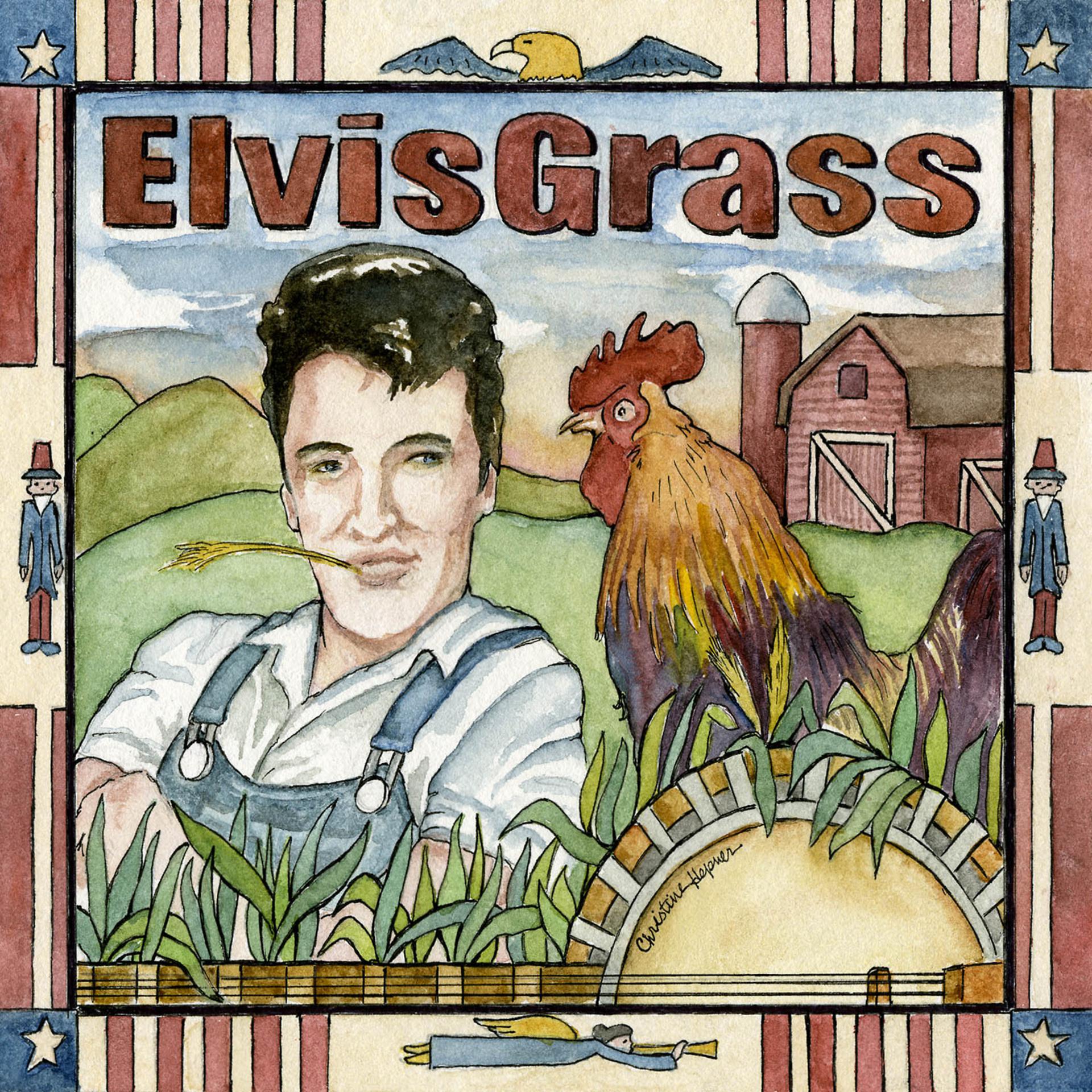 Постер альбома Elvis Grass