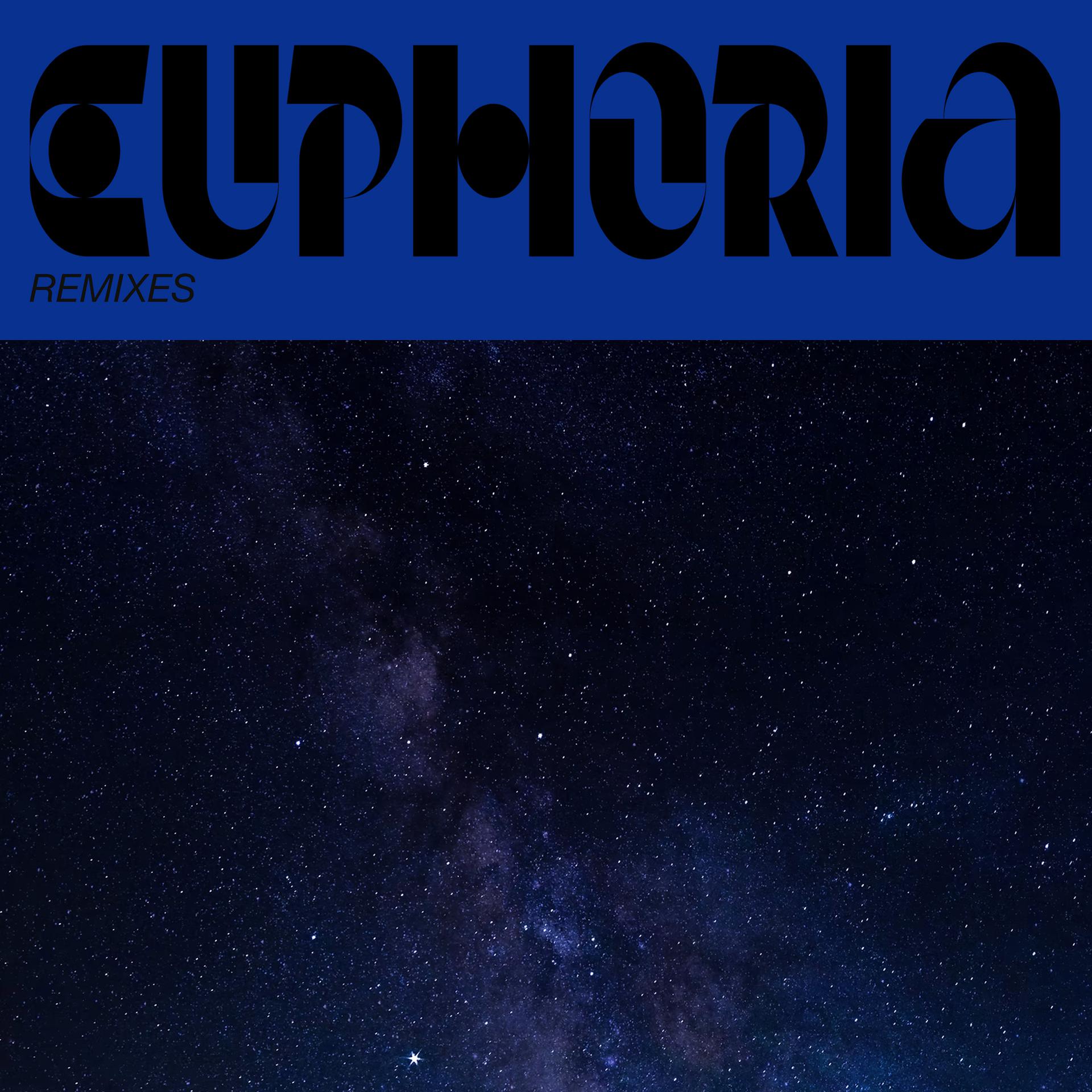 Постер альбома Euphoria Remixes