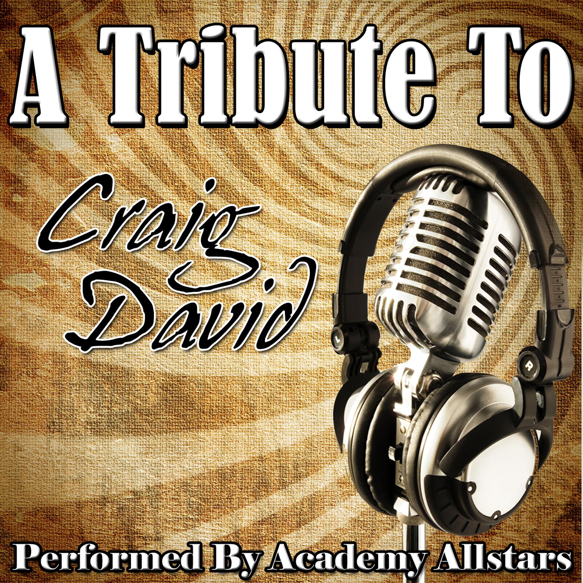 Постер альбома A Tribute to Craig David