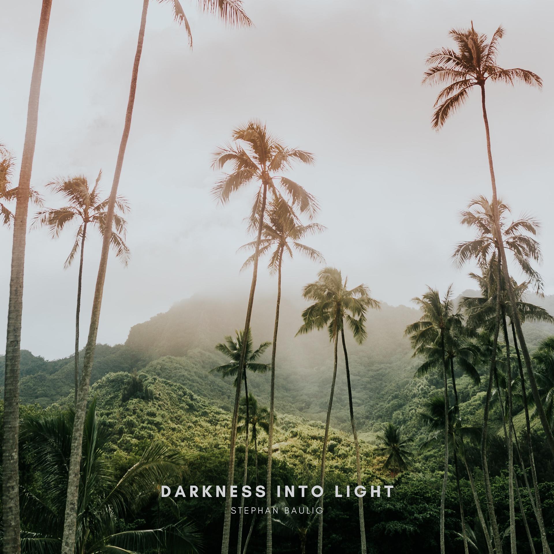 Постер альбома Darkness into Light