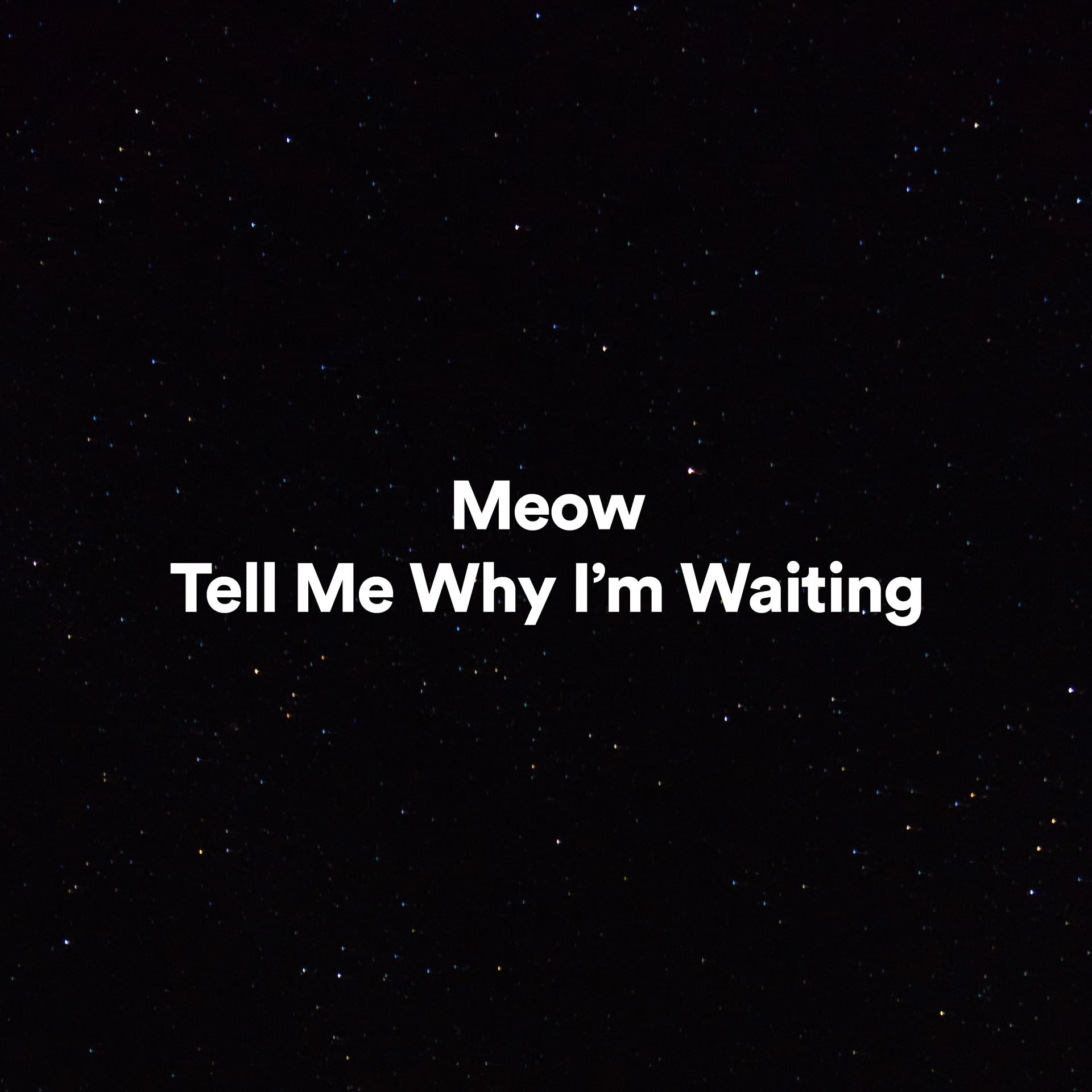 Постер альбома Tell Me Why I'm Waiting