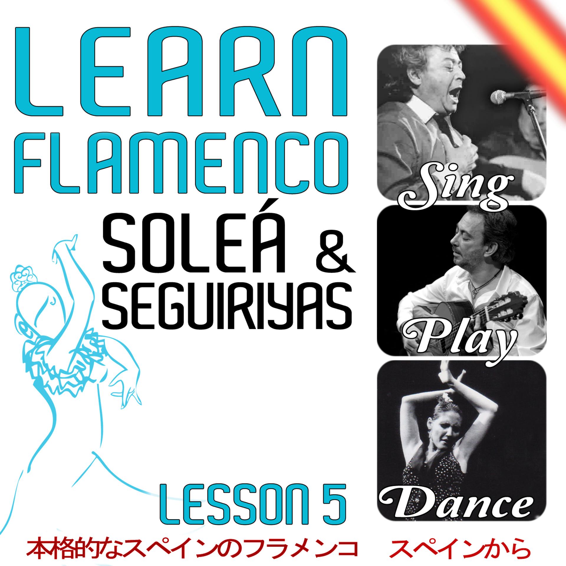 Постер альбома Learn Flamenco. Sing, Play And Dance Soleá And Seguiriya. Lesson 5