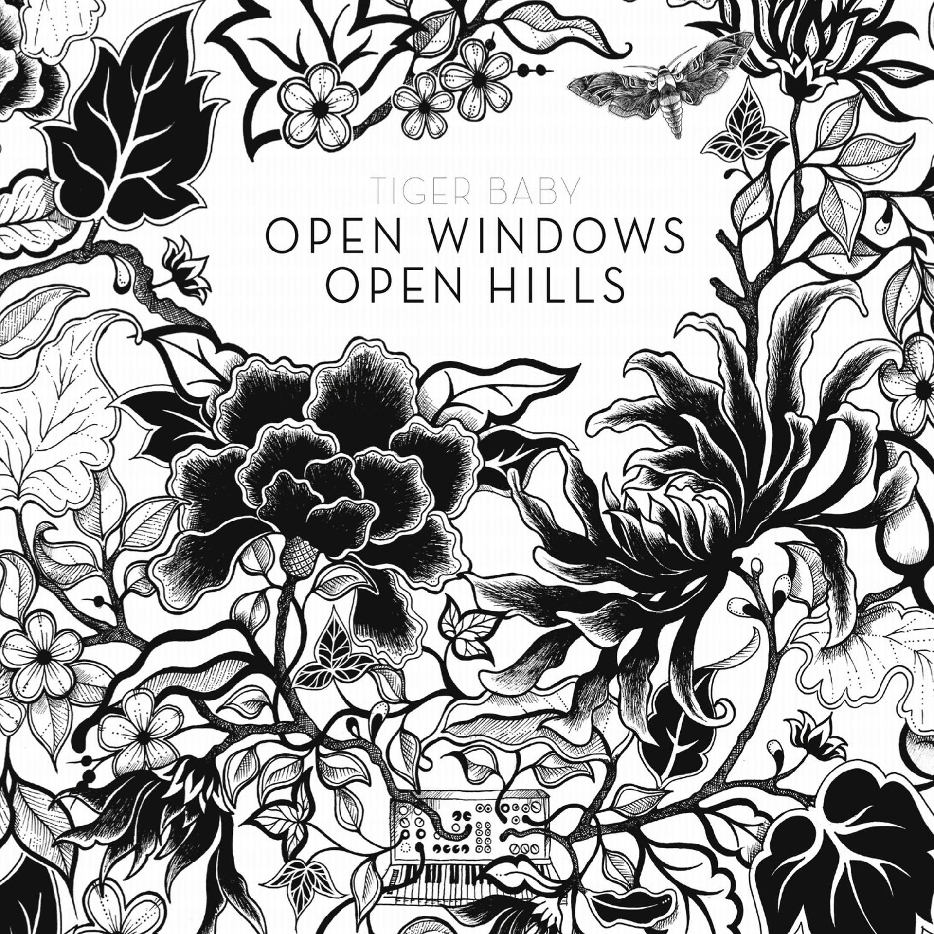 Постер альбома Open Windows Open Hills