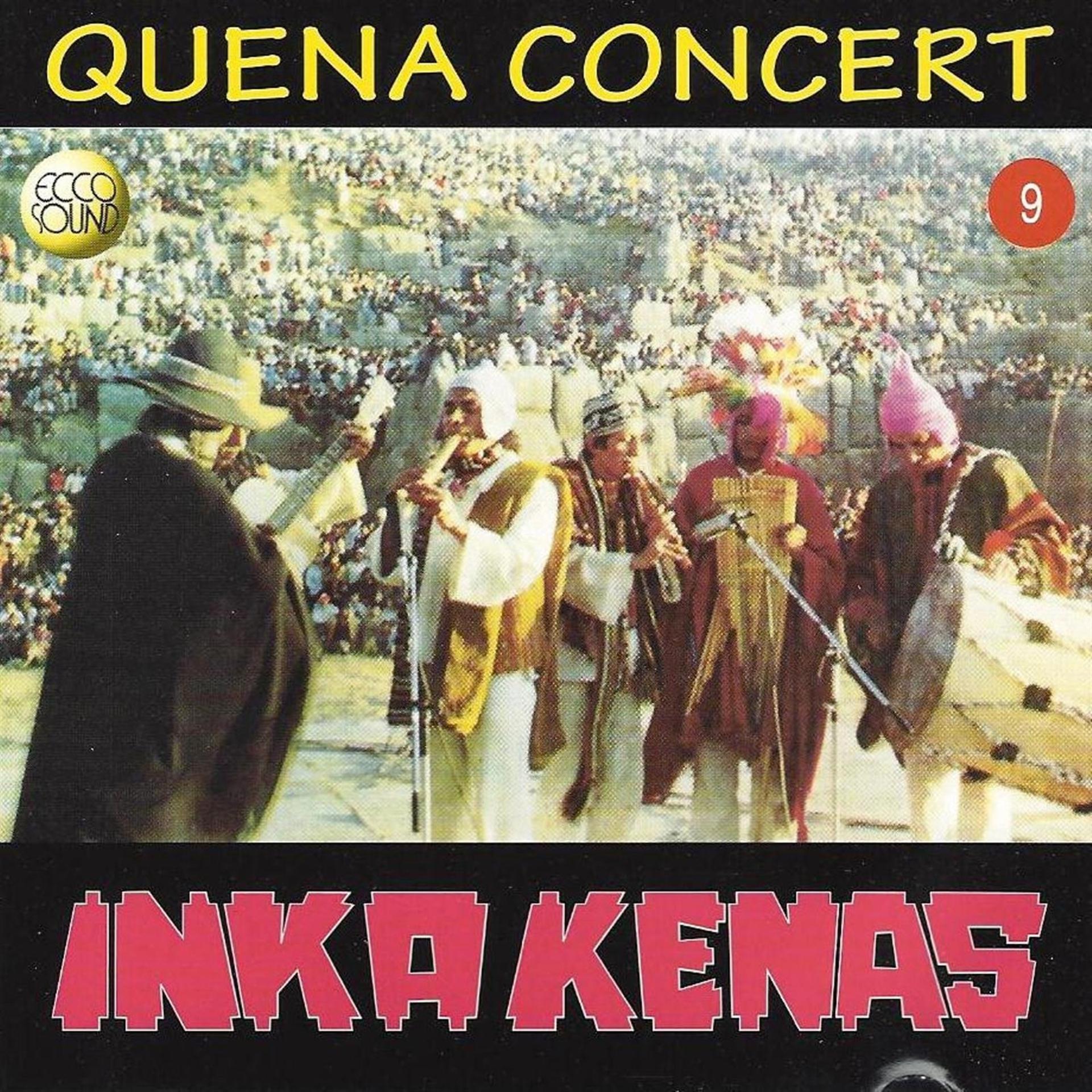 Постер альбома Quena Concert