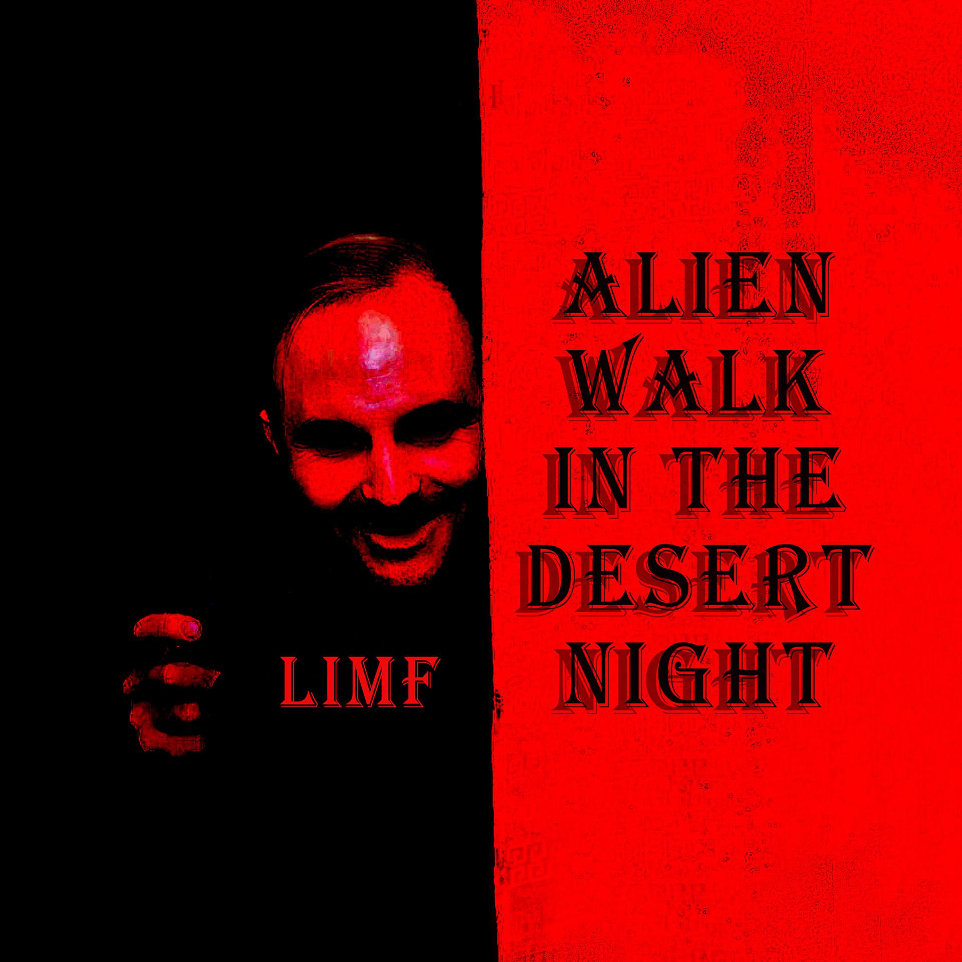 Постер альбома Alien Walk In The Desert Night