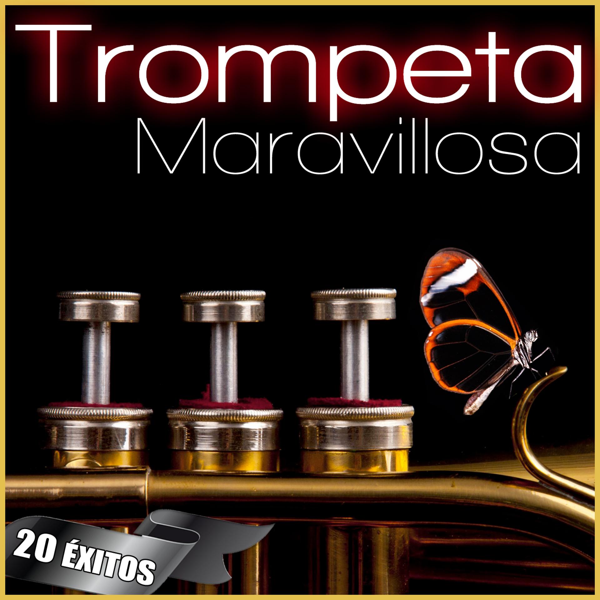 Постер альбома La Trompeta Maravillosa. 20 Éxitos