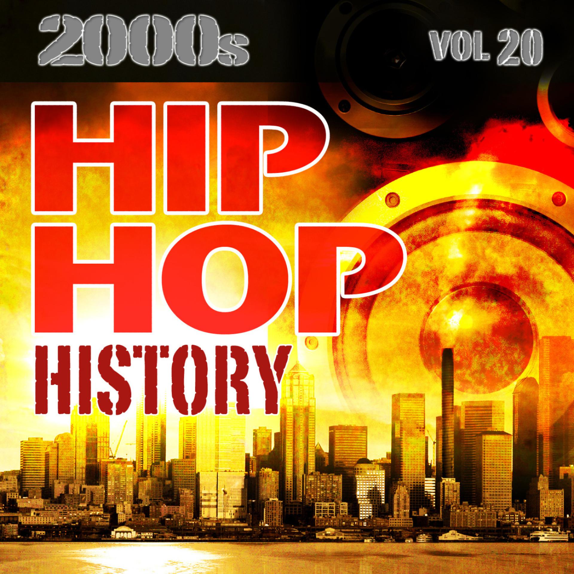 Постер альбома Hip Hop History Vol.20 - 2000s