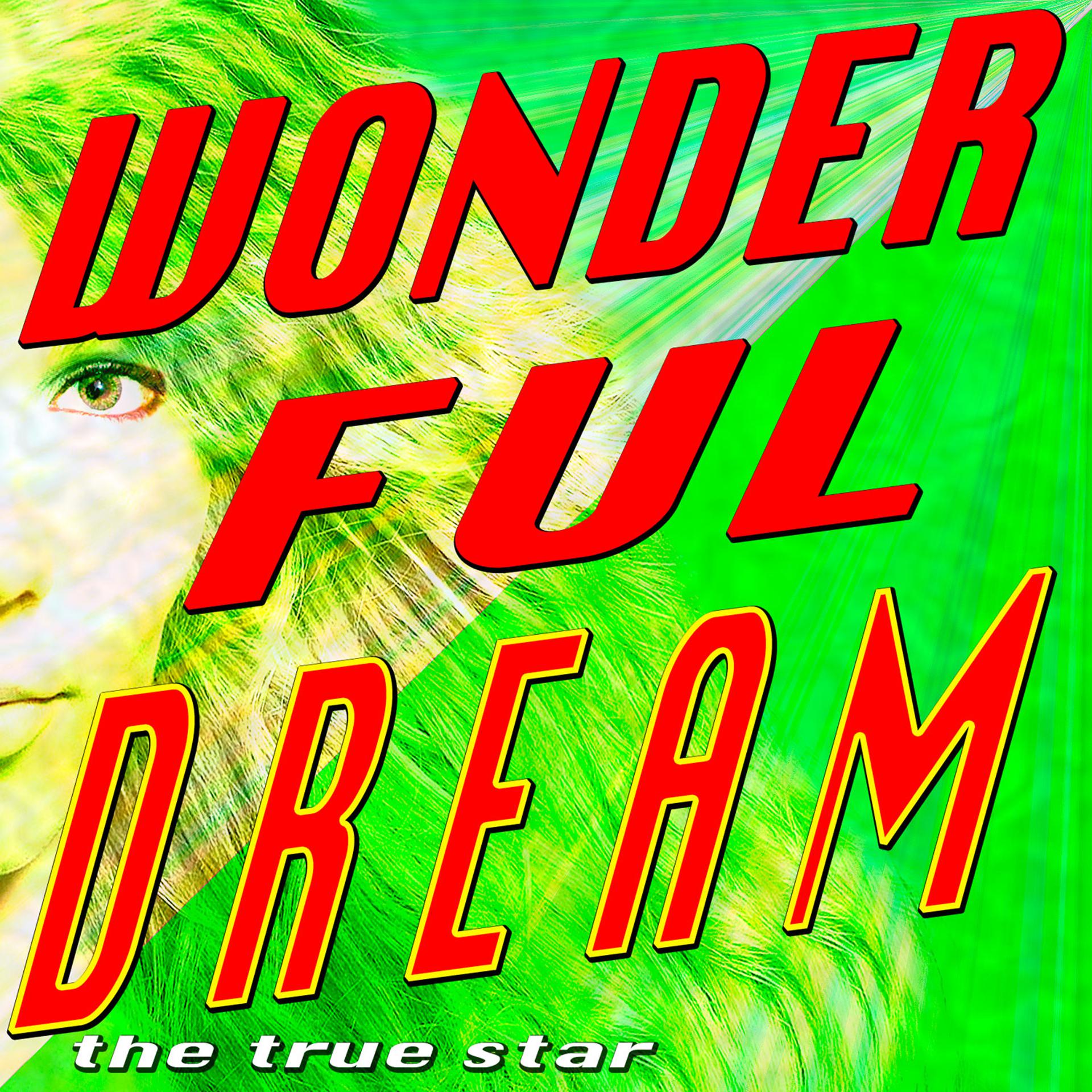Постер альбома Wonderful Dream (Melanie Thornton Tribute)