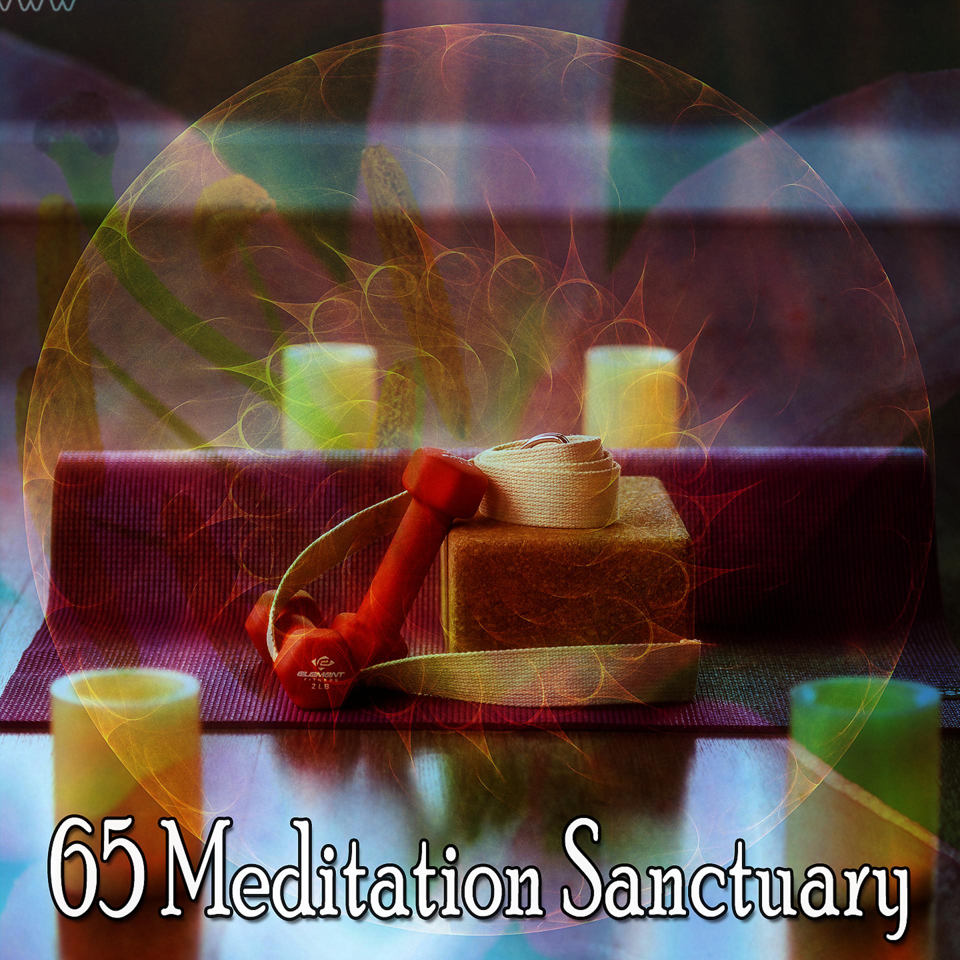 Постер альбома 65 Святилище медитации