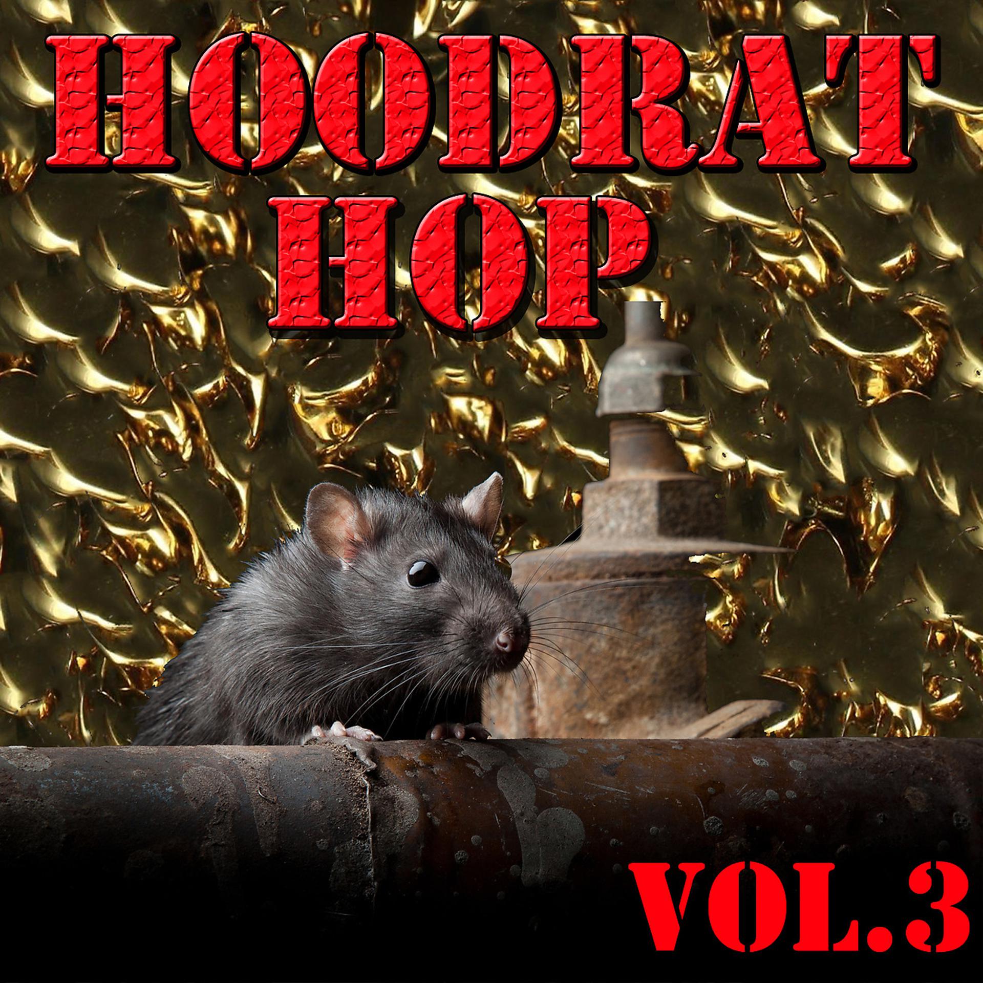 Постер альбома Hoodrat Hop, Vol.3