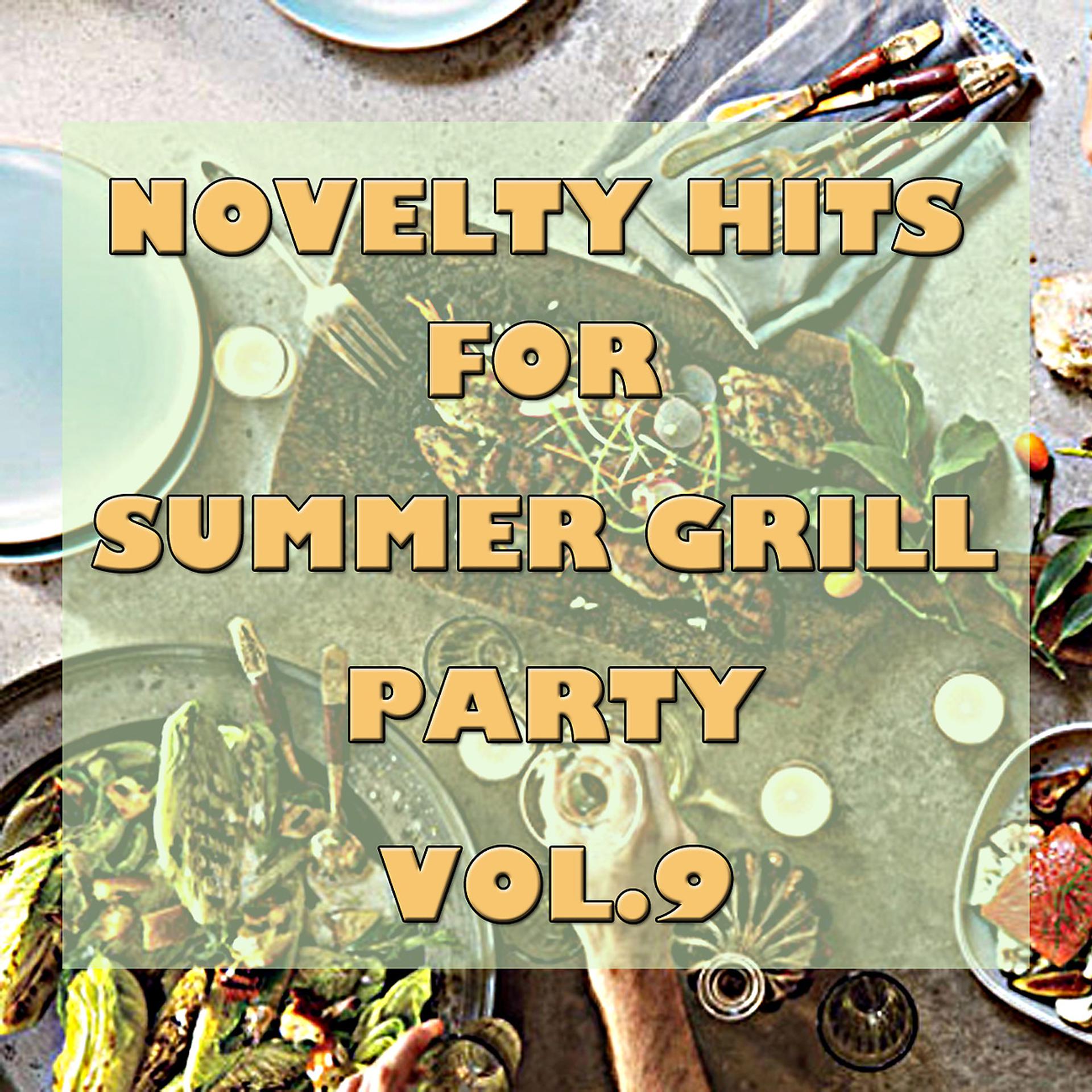 Постер альбома Novelty Hits For Summer Grill Party, Vol.9