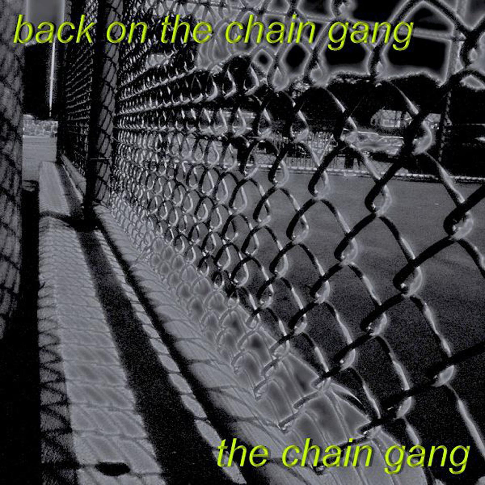 Постер альбома Back On The Chain Gang-The Ultimate Tribute To The Pretenders