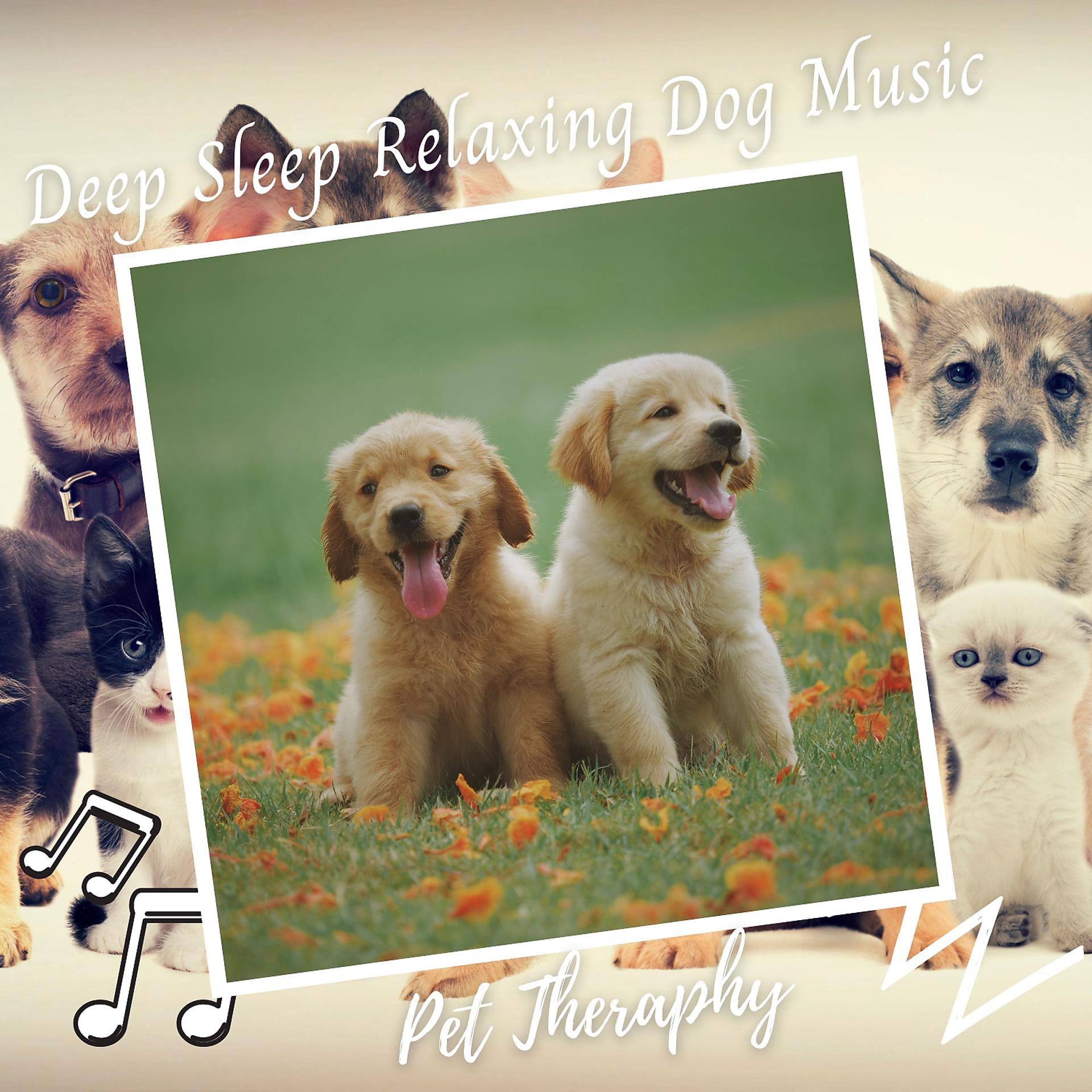 Постер альбома Pet Therapy: Deep Sleep Relaxing Dog Music