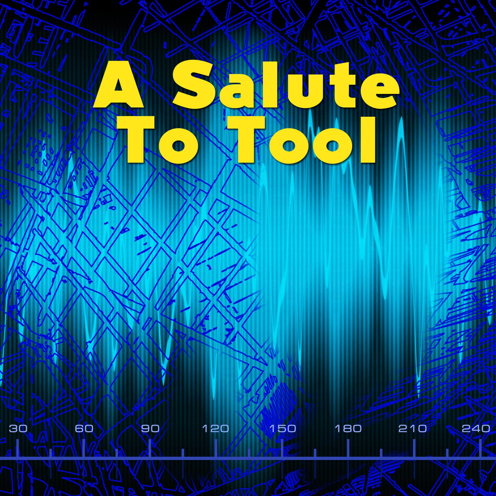 Постер альбома A Salute To Tool