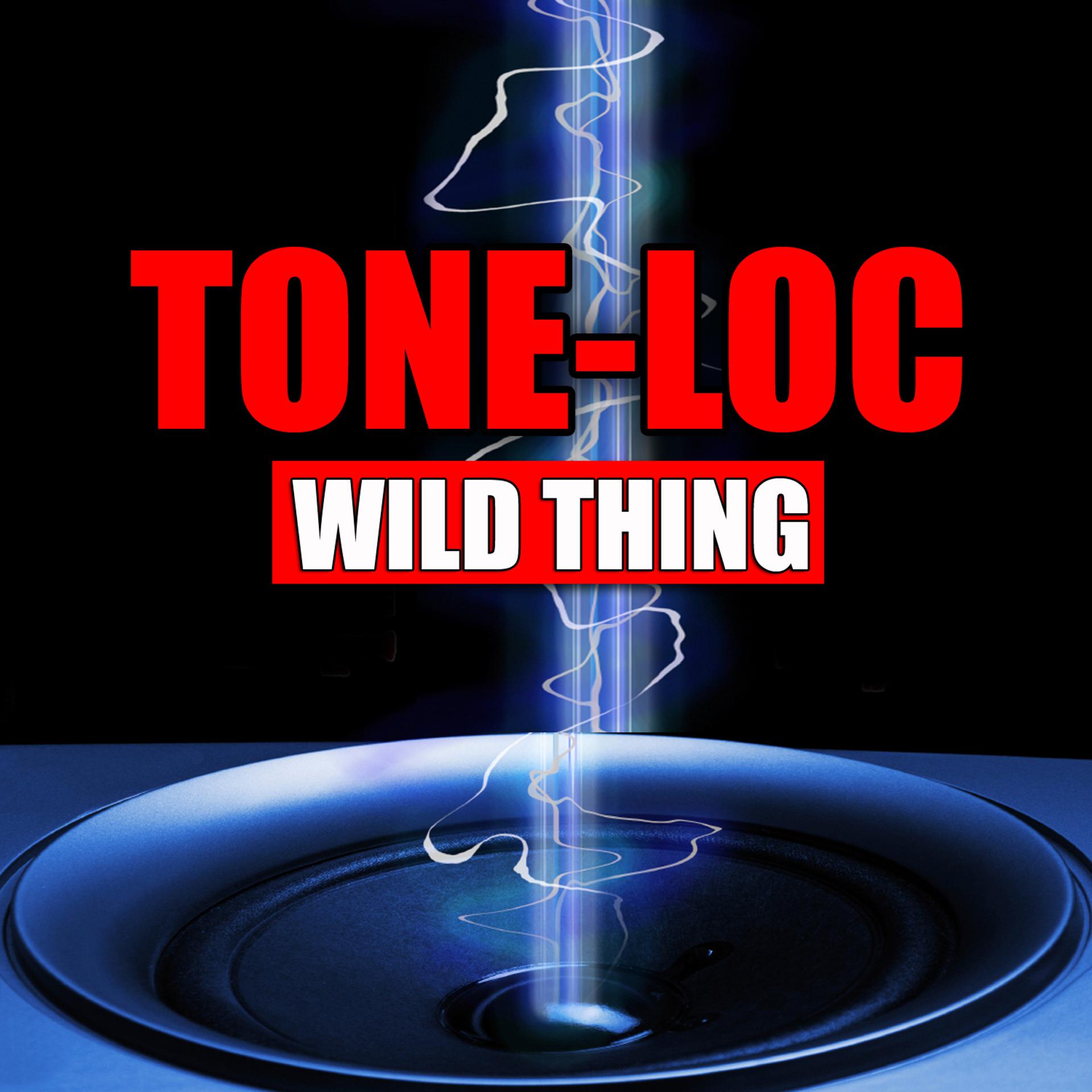 Постер альбома Wild Thing (Re-Recorded / Remastered)