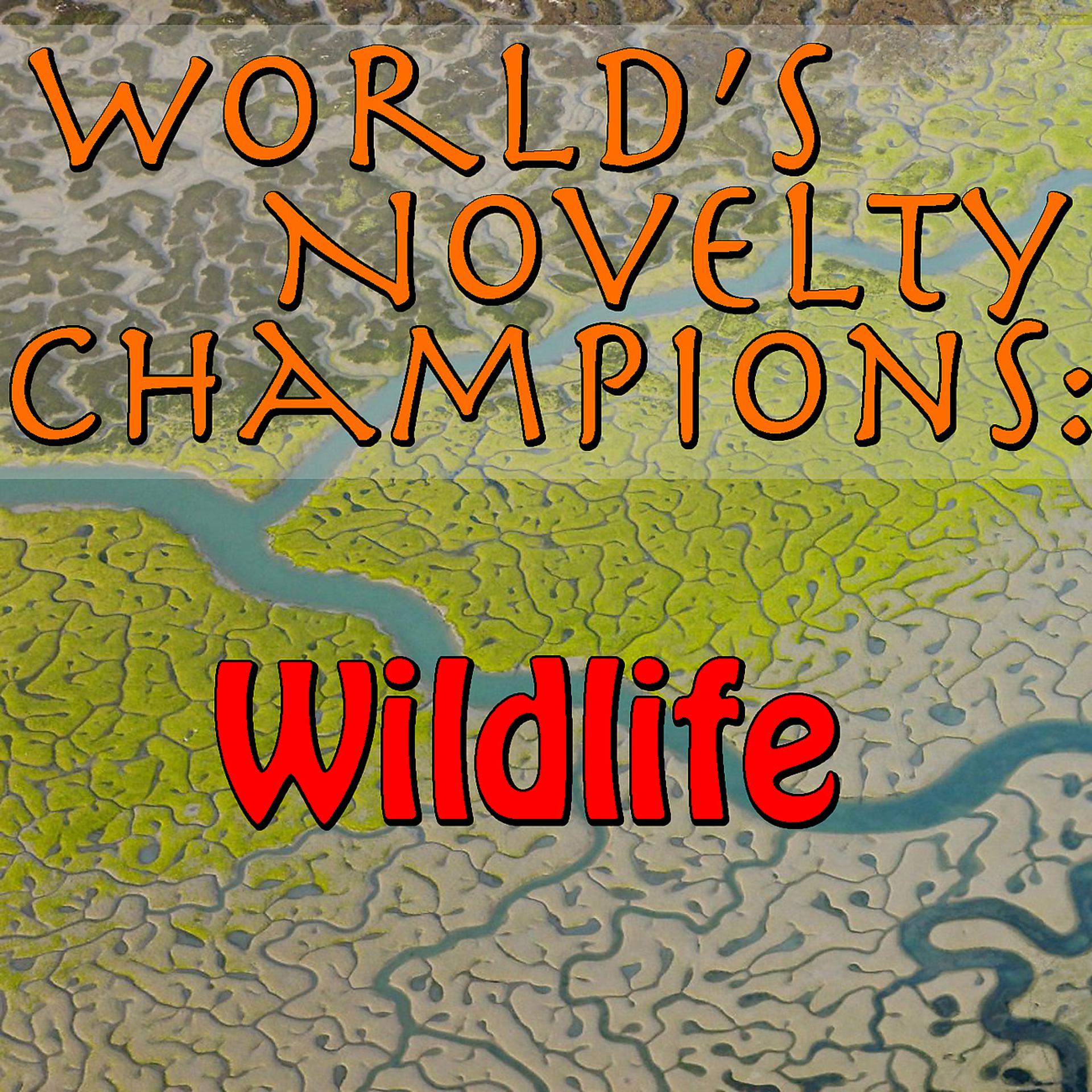 Постер альбома World's Novelty Champions: Wildlife
