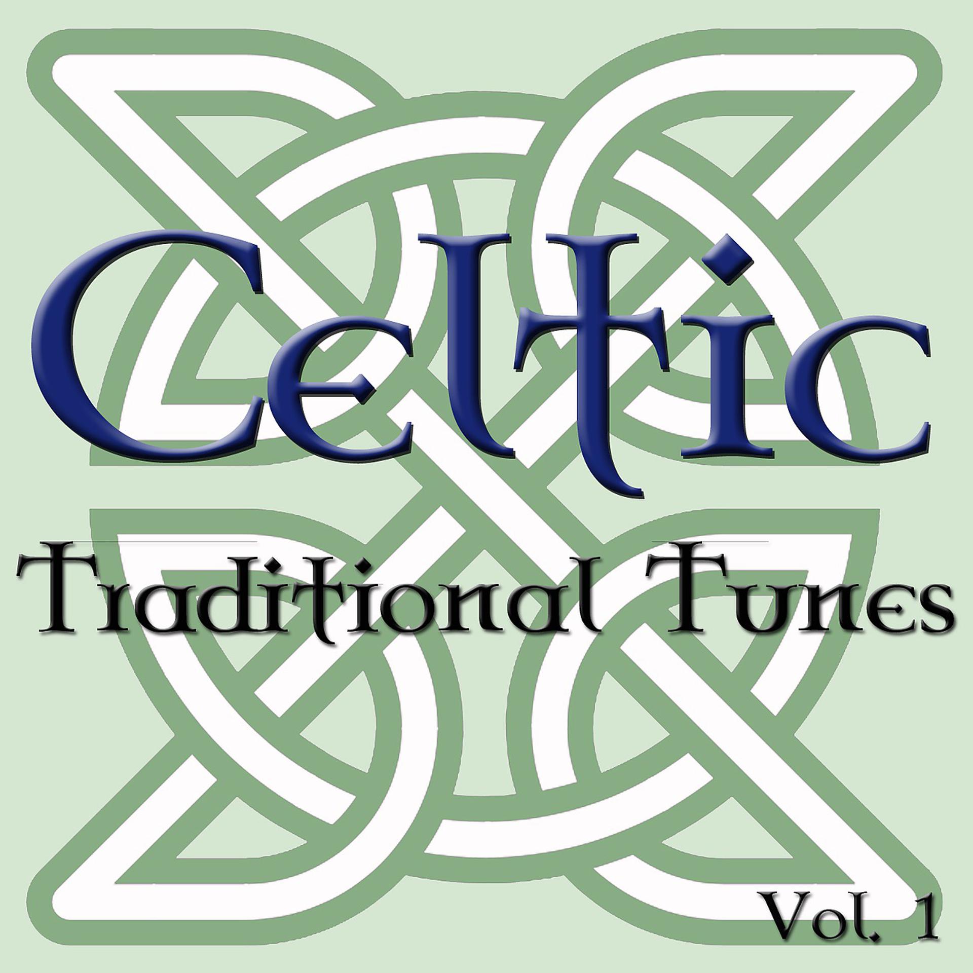 Постер альбома Celtic Traditional Tunes, Vol. 1