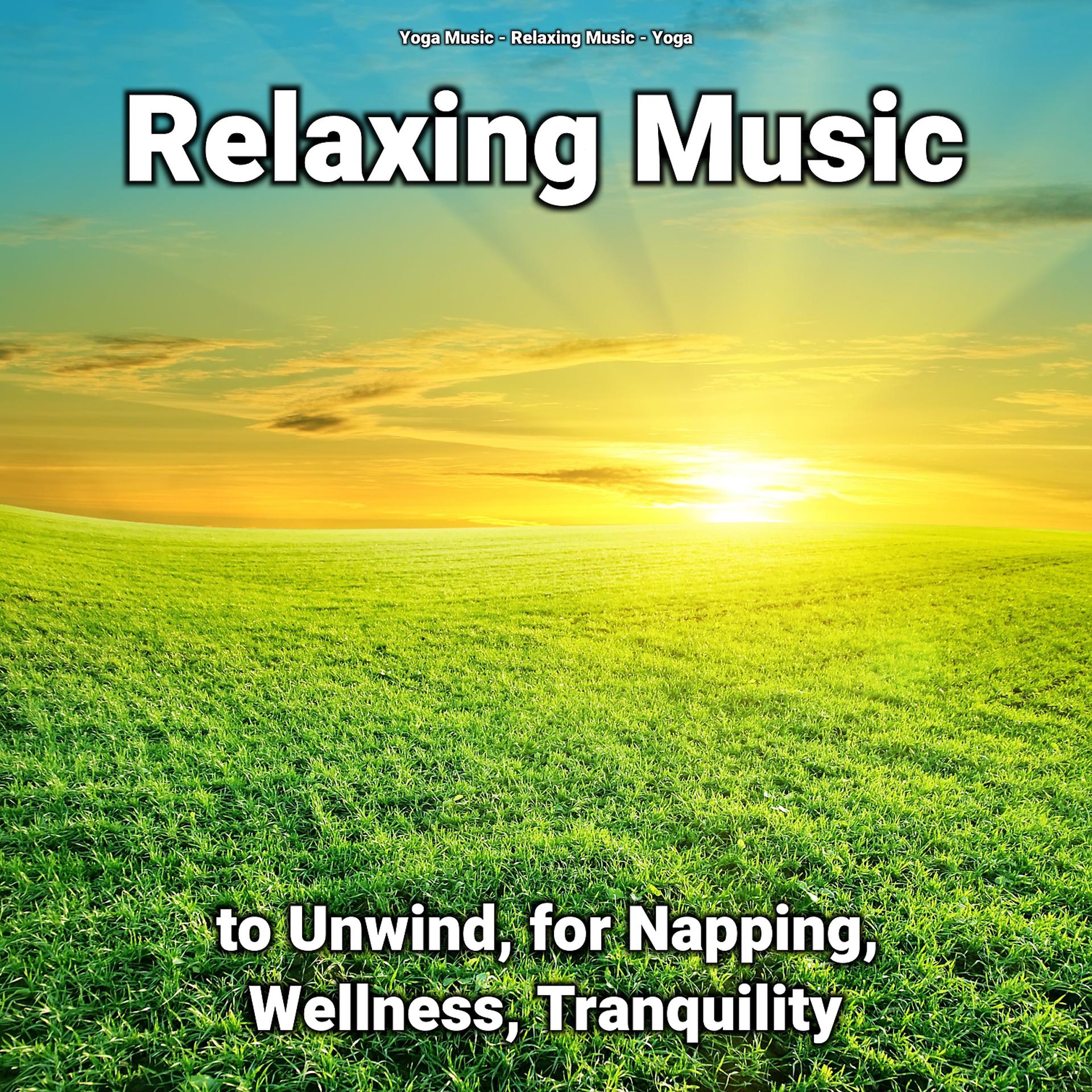 Постер альбома Relaxing Music to Unwind, for Napping, Wellness, Tranquility