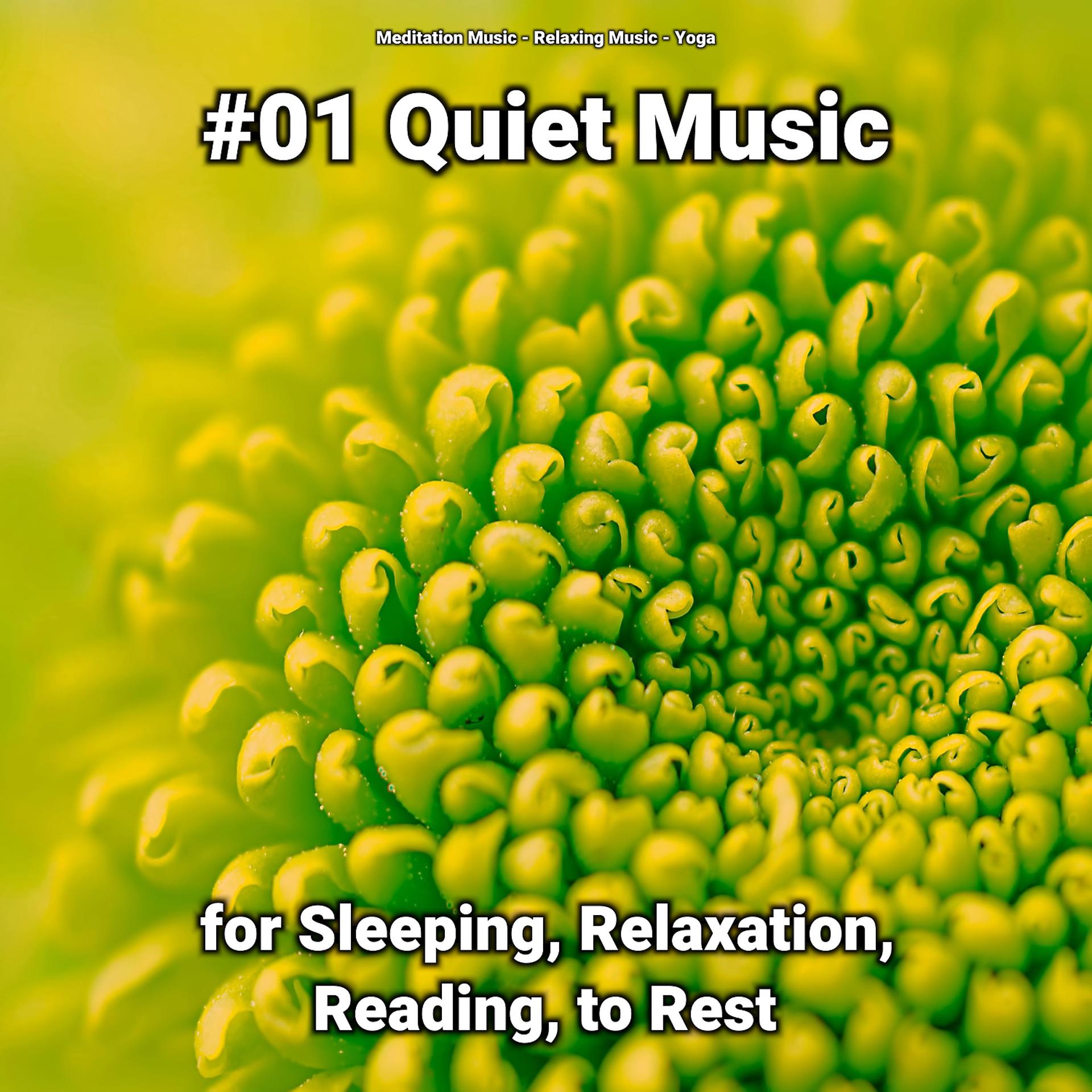 Постер альбома #01 Quiet Music for Sleeping, Relaxation, Reading, to Rest