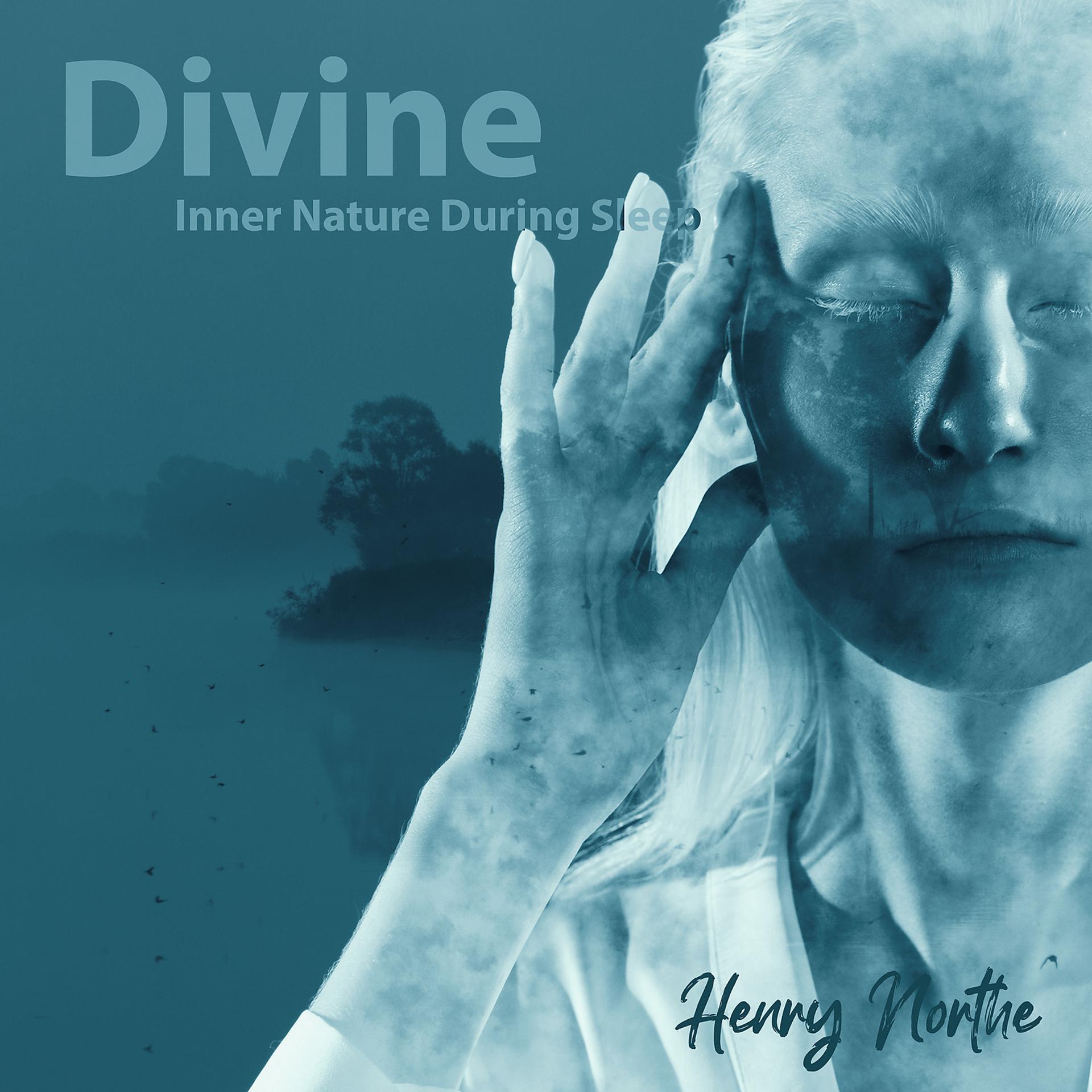 Постер альбома Divine Inner Nature During Sleep