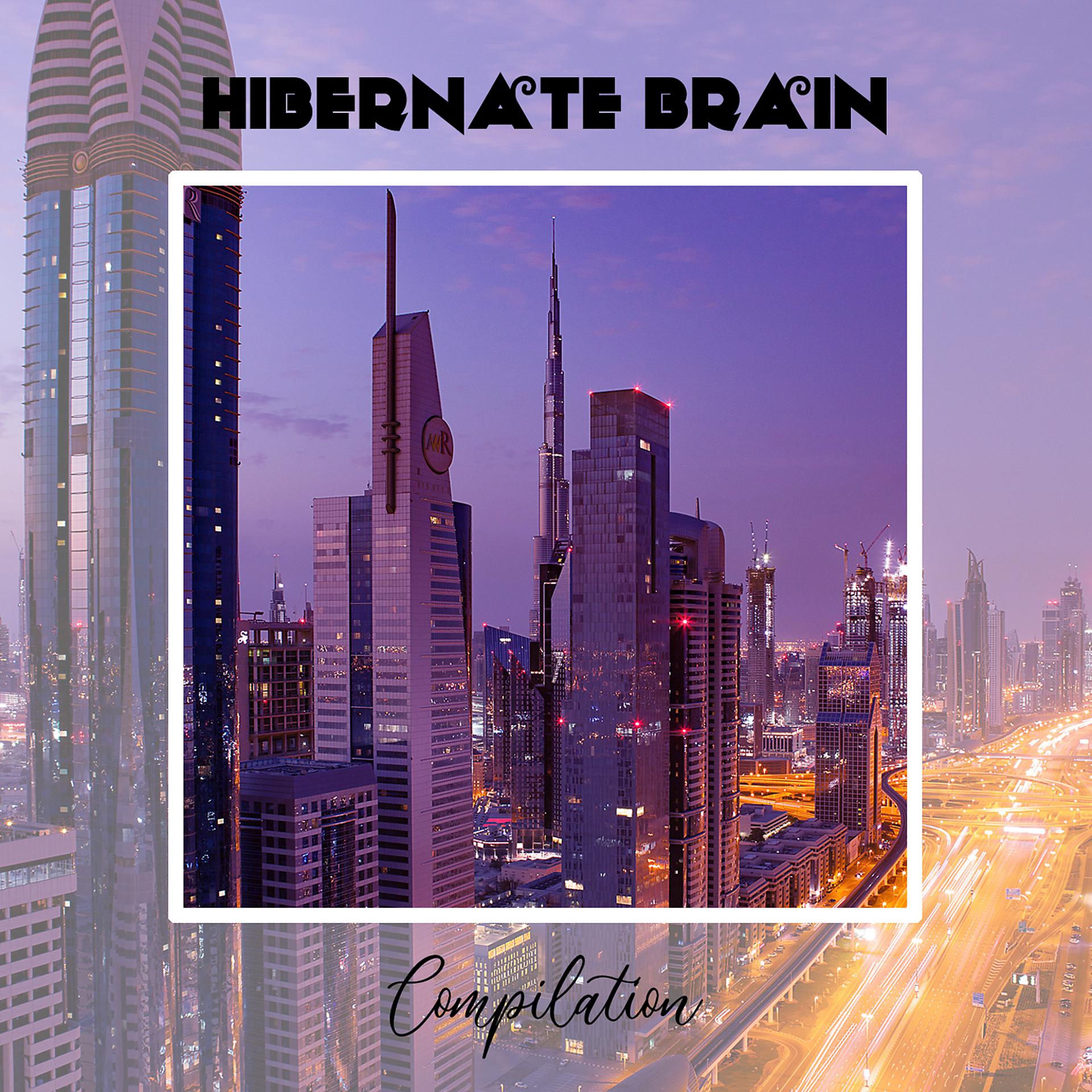 Постер альбома Hibernate Brain Compilation