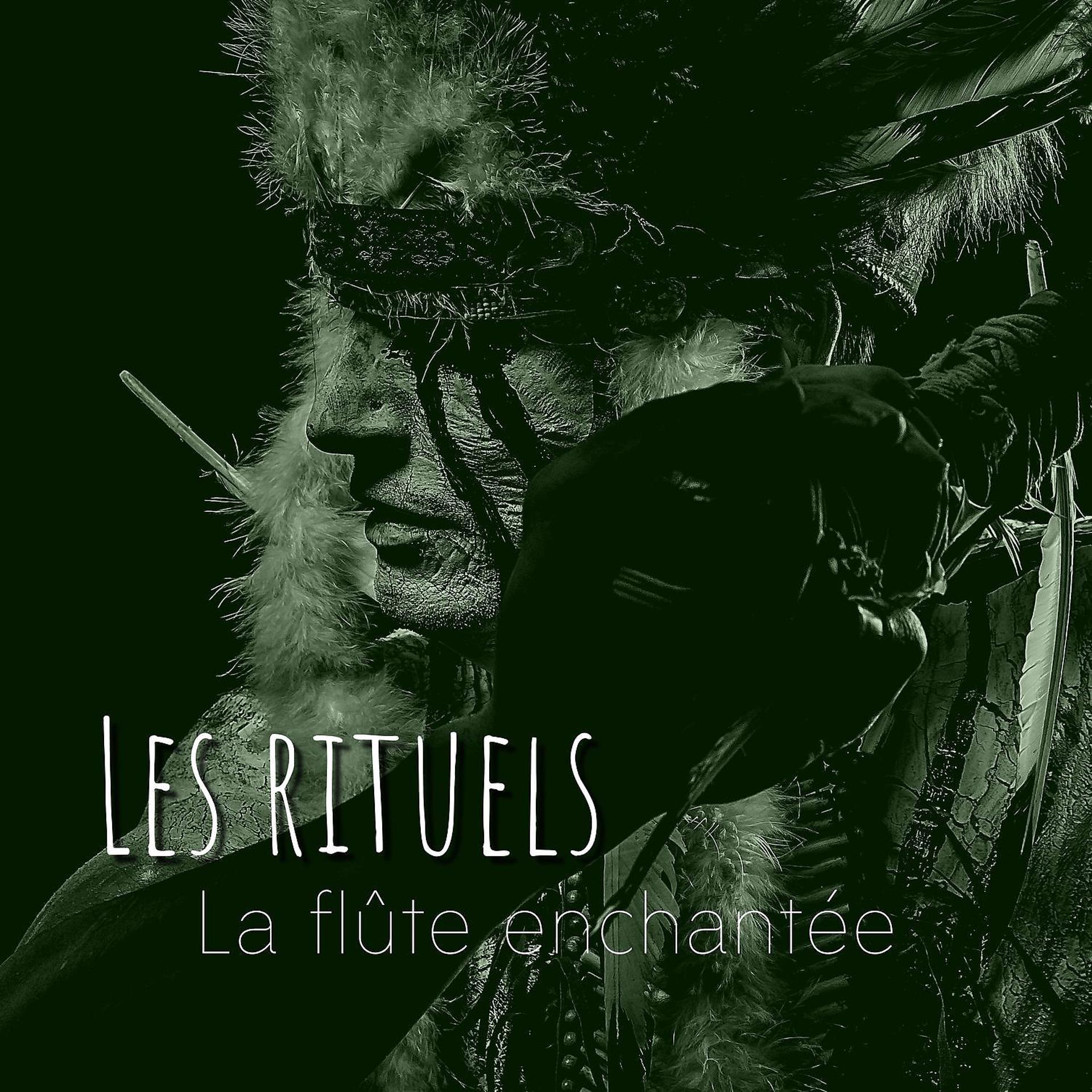 Постер альбома Les rituels - La flûte enchantée