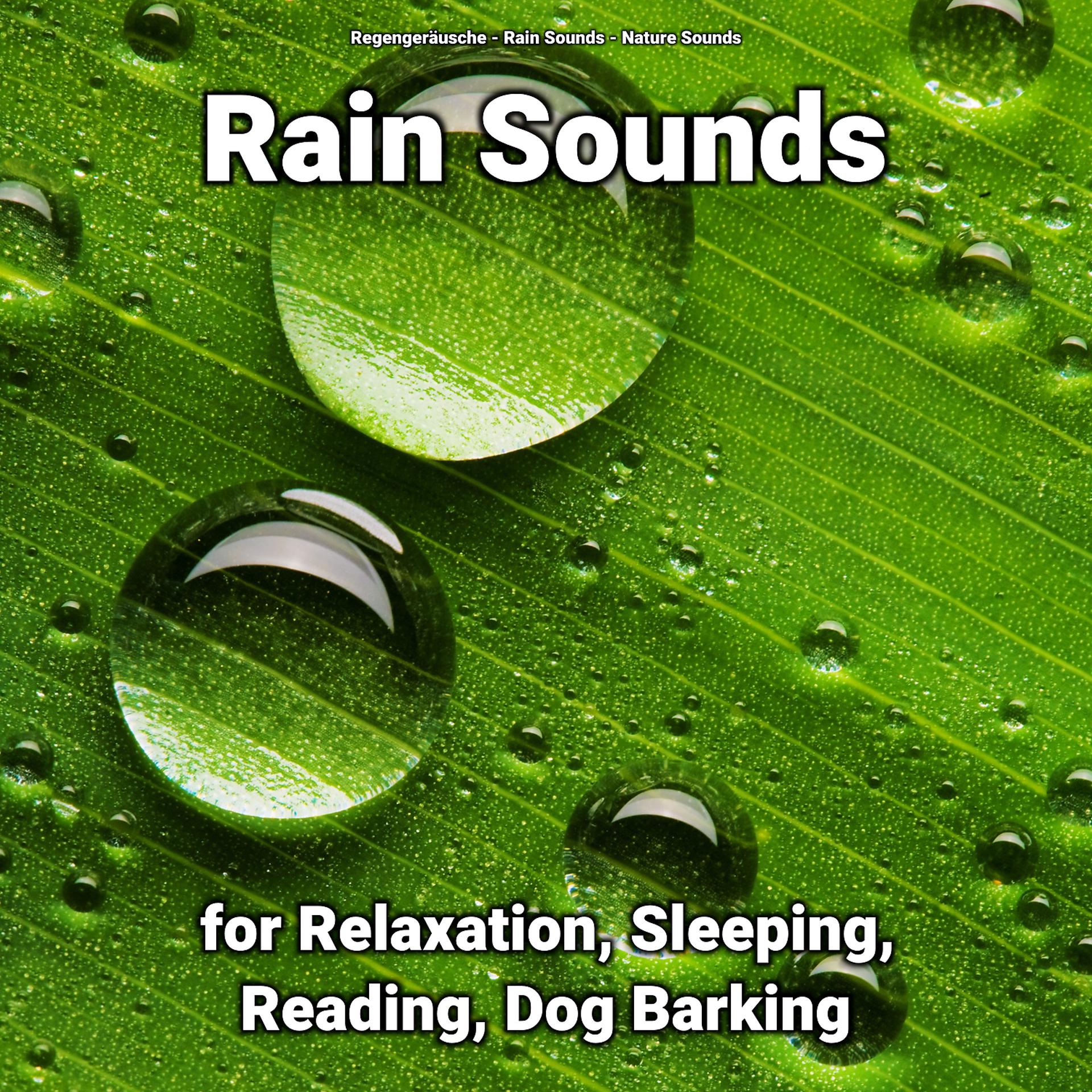 Постер альбома Rain Sounds for Relaxation, Sleeping, Reading, Dog Barking