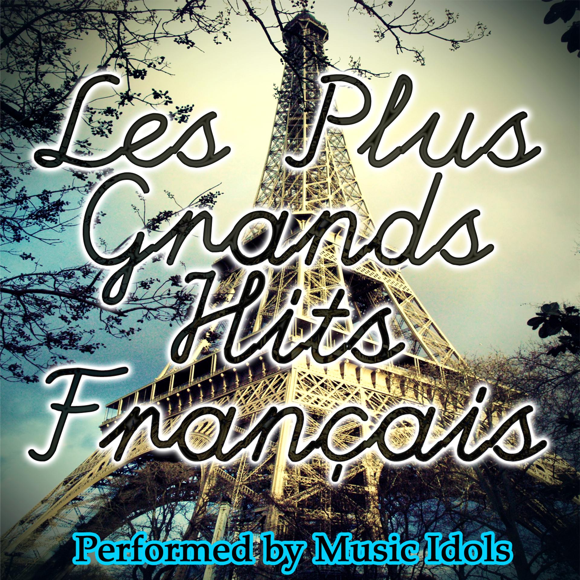 Постер альбома Les Plus Grands Hits Français
