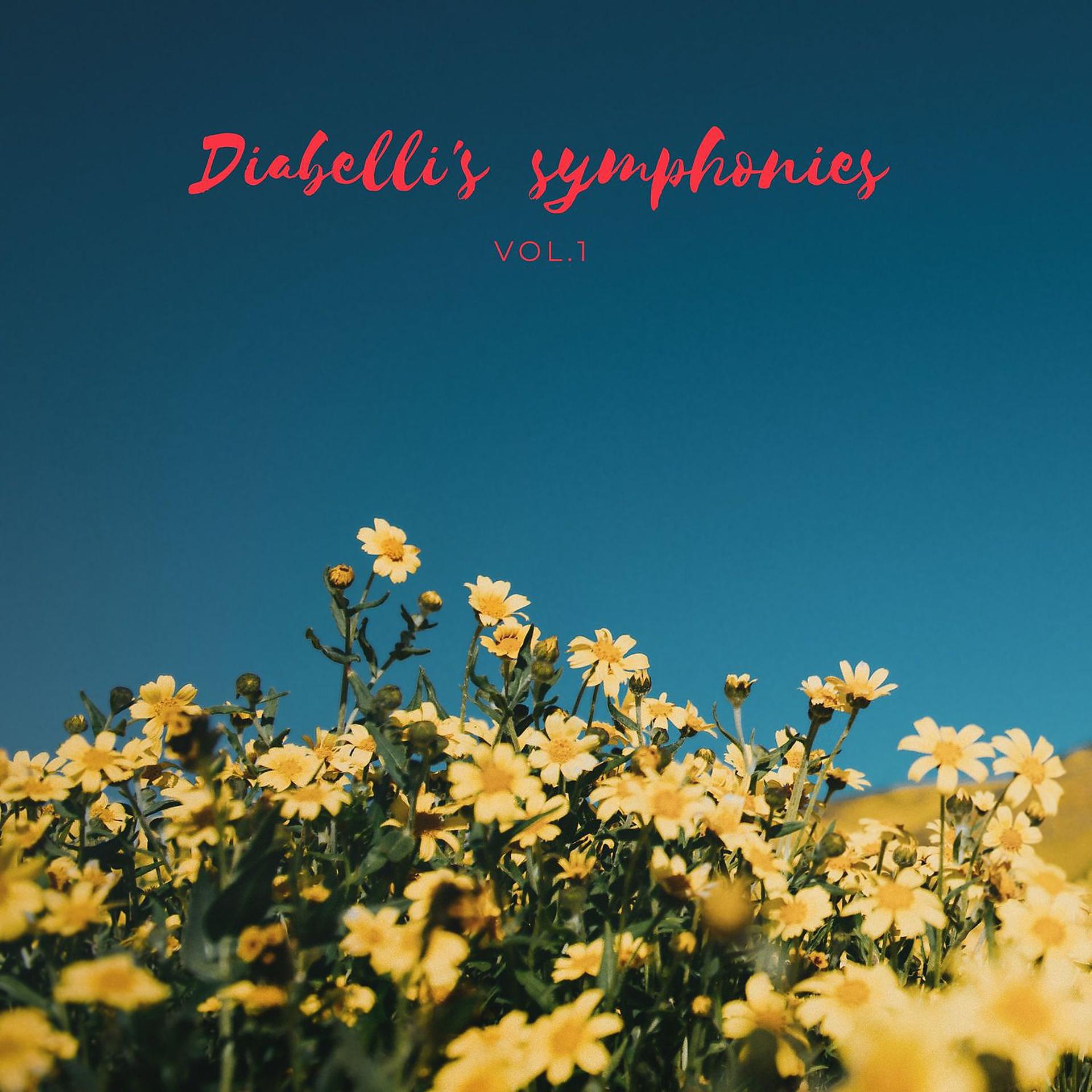 Постер альбома Diabelli's  symphonies Vol.1