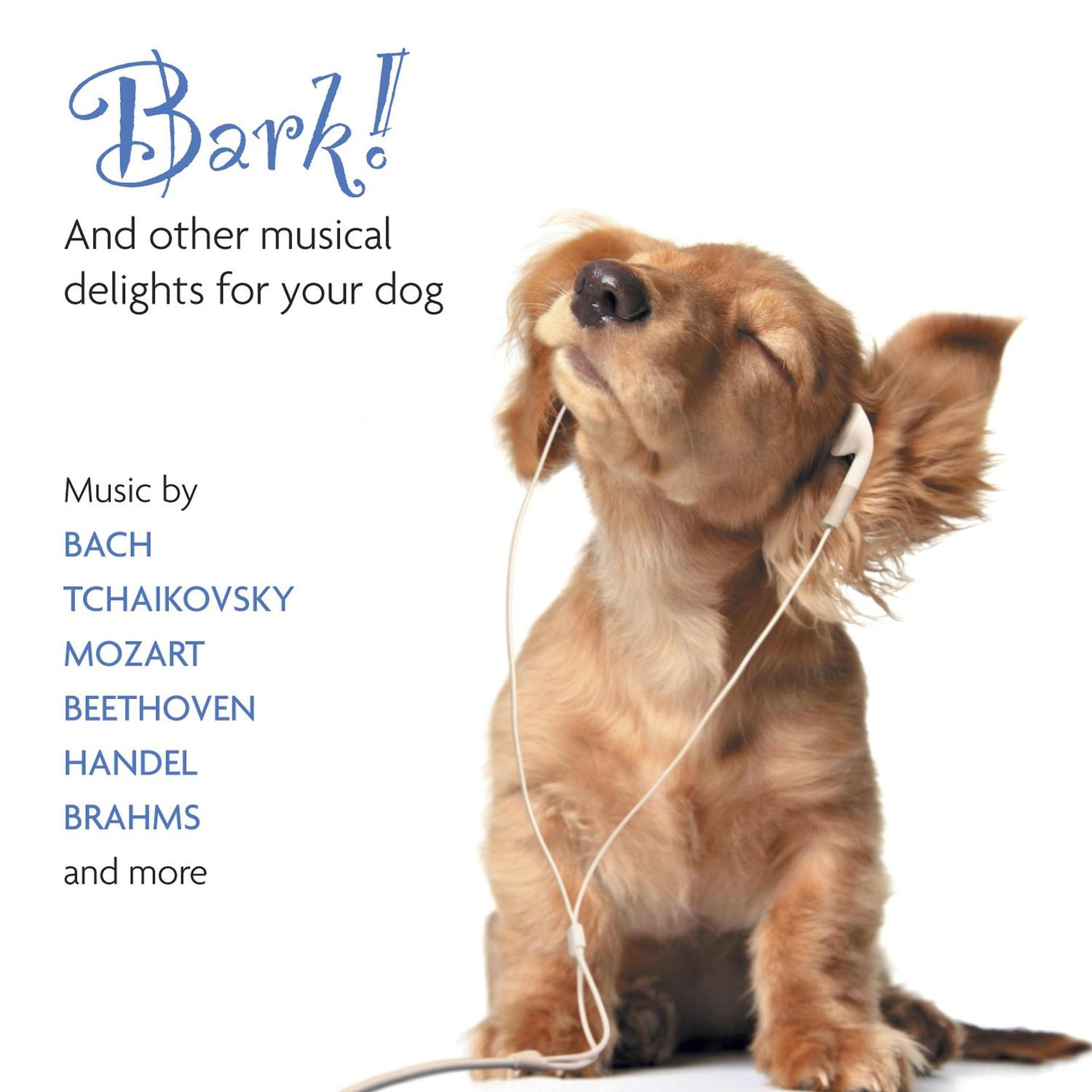 Постер альбома Bark! And Other Musical Delights for Your Dog