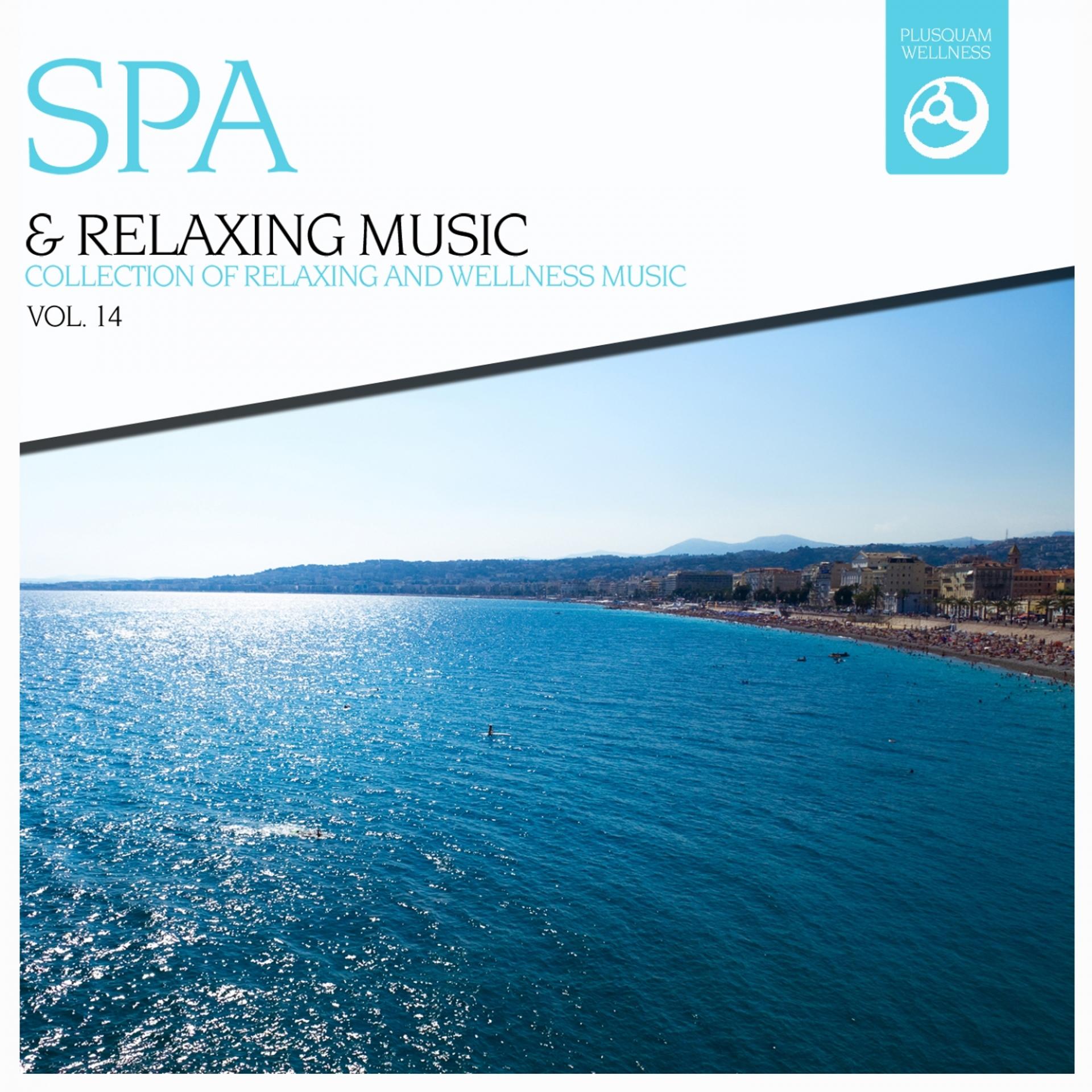Постер альбома SPA & Relaxing Music, Vol. 14