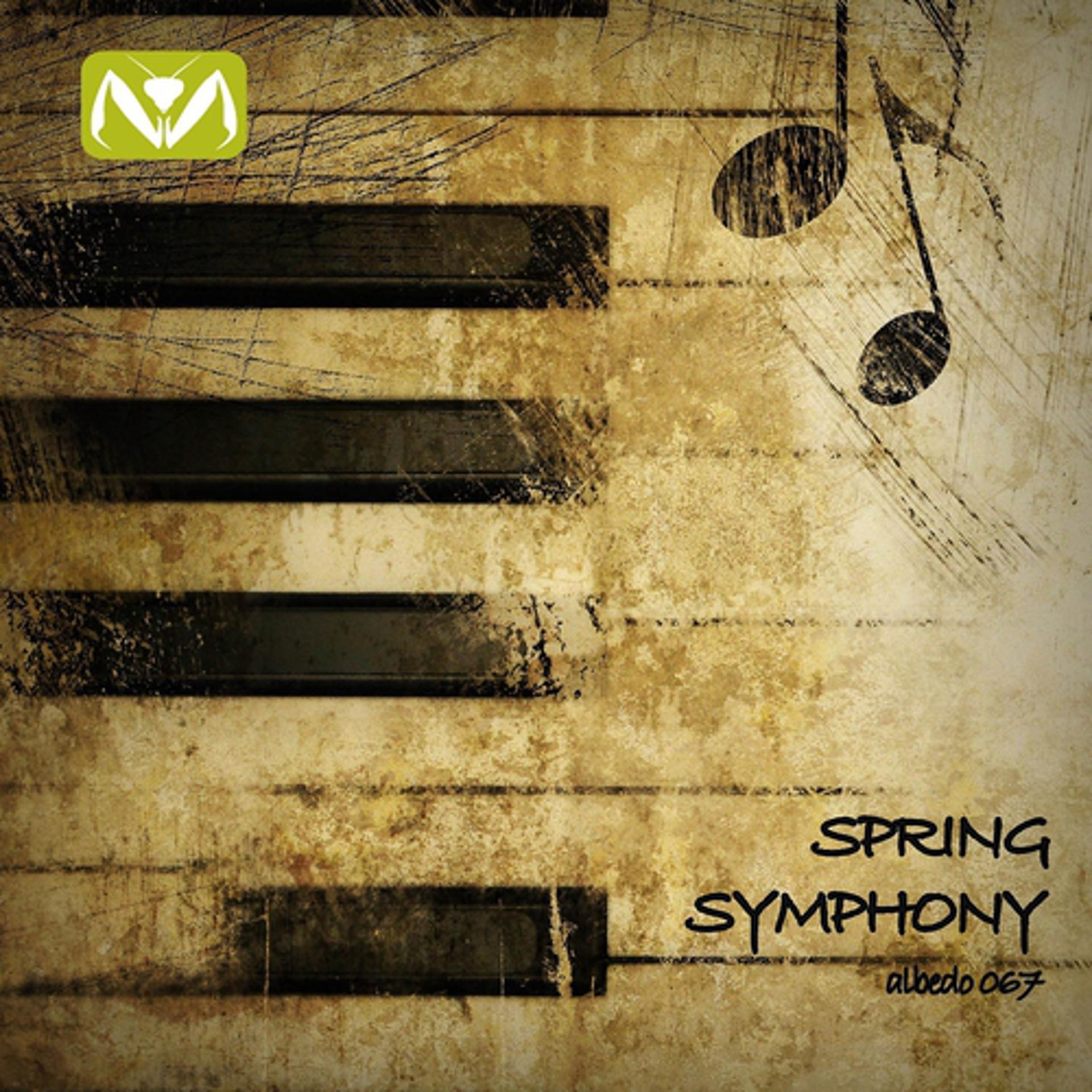 Постер альбома Spring Symphony