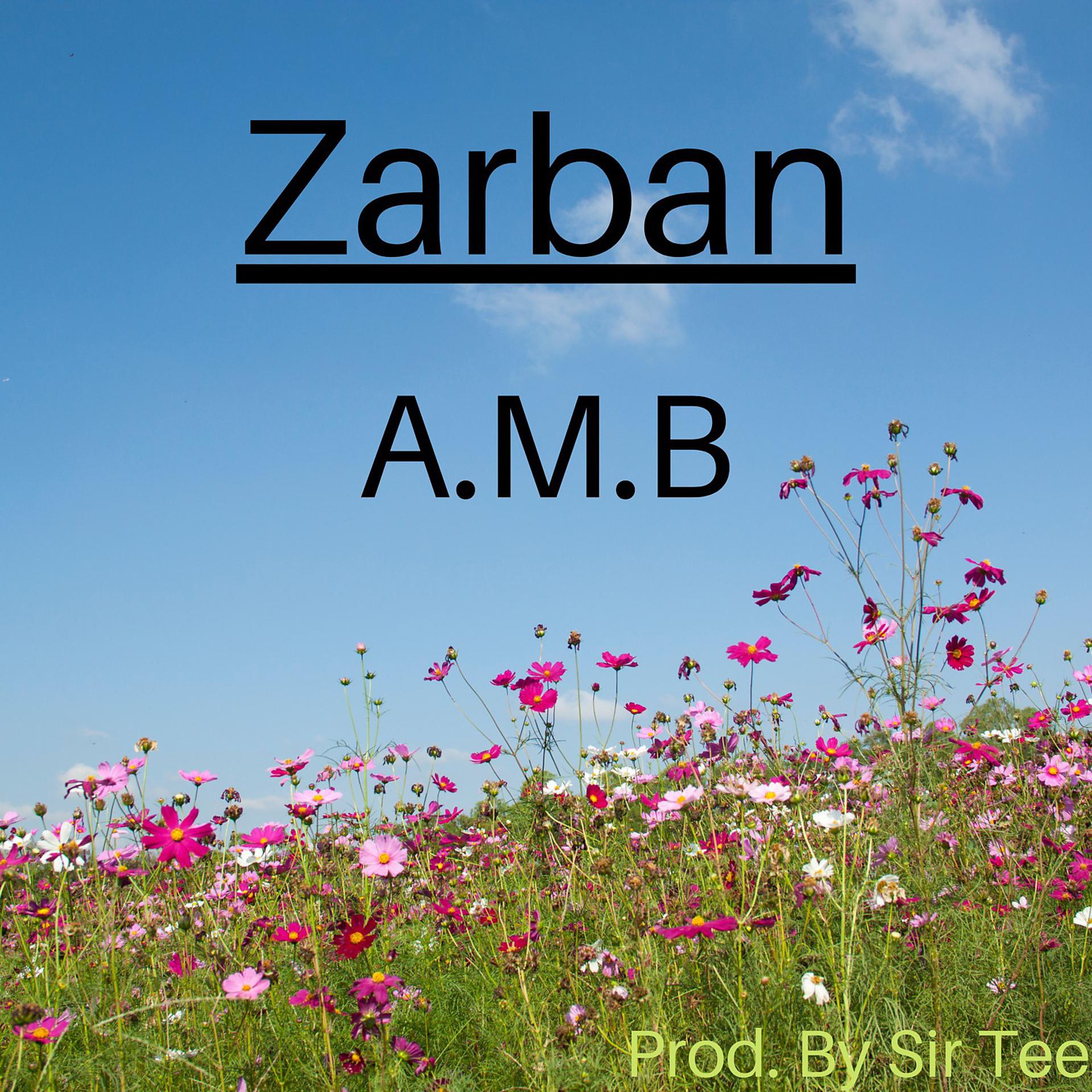 Постер альбома Zarban