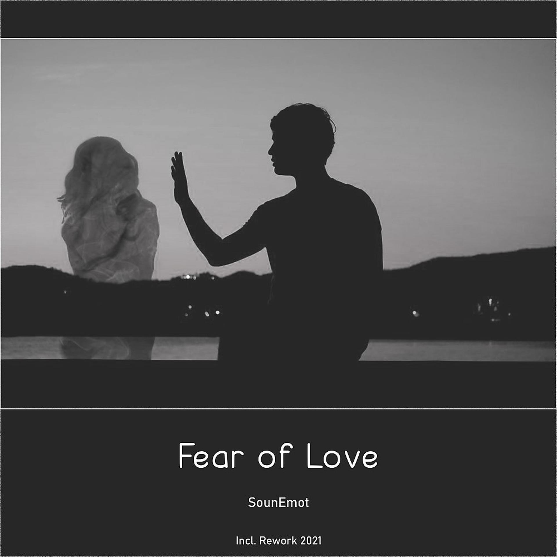Постер альбома Fear of Love Rework