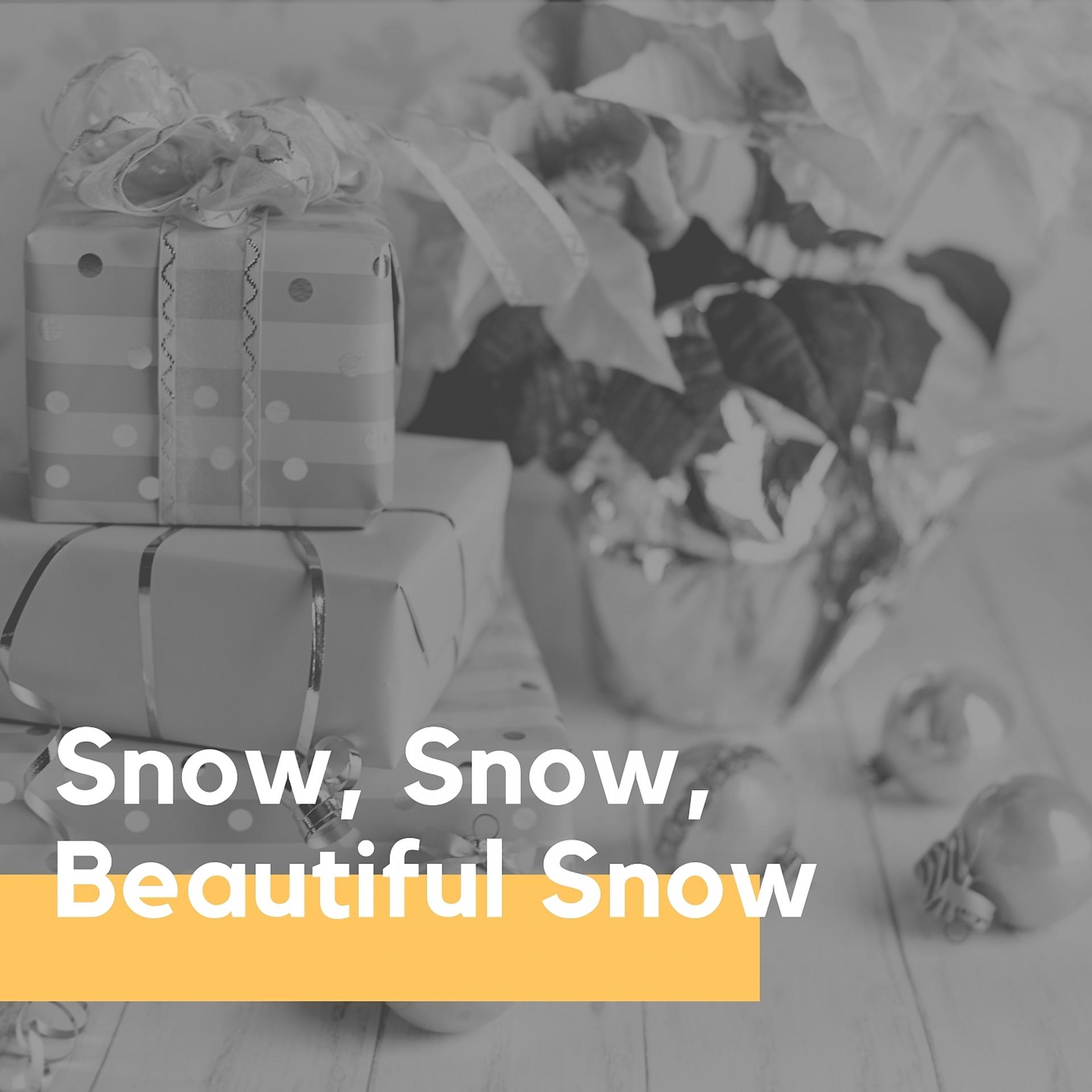 Постер альбома Snow, Snow, Beautiful Snow