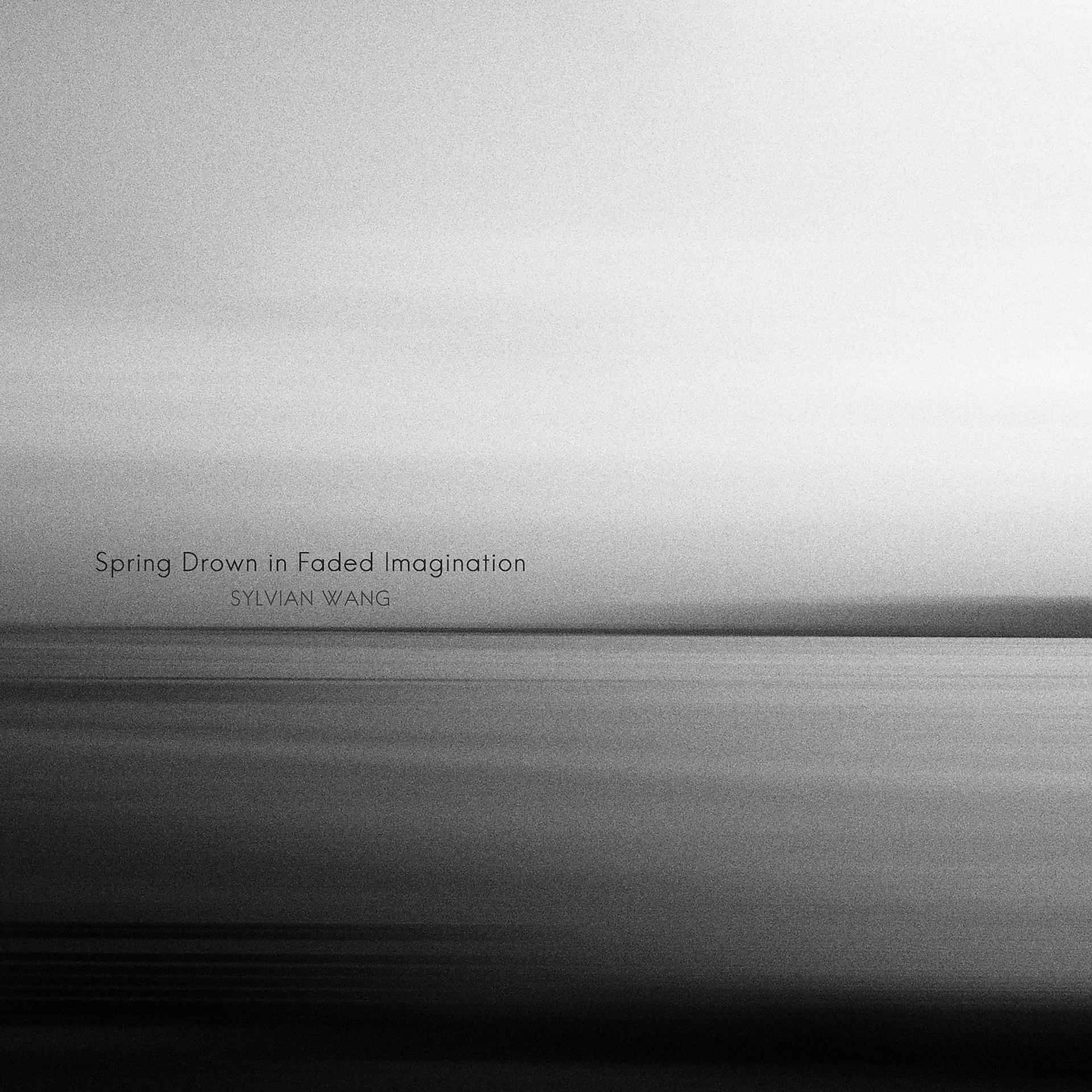 Постер альбома Spring Drown in Faded Imagination