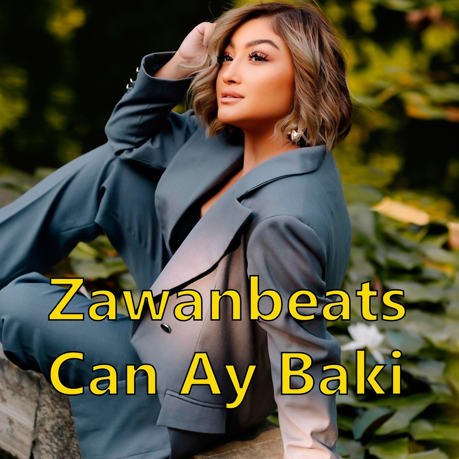 Постер альбома Can Ay Baki
