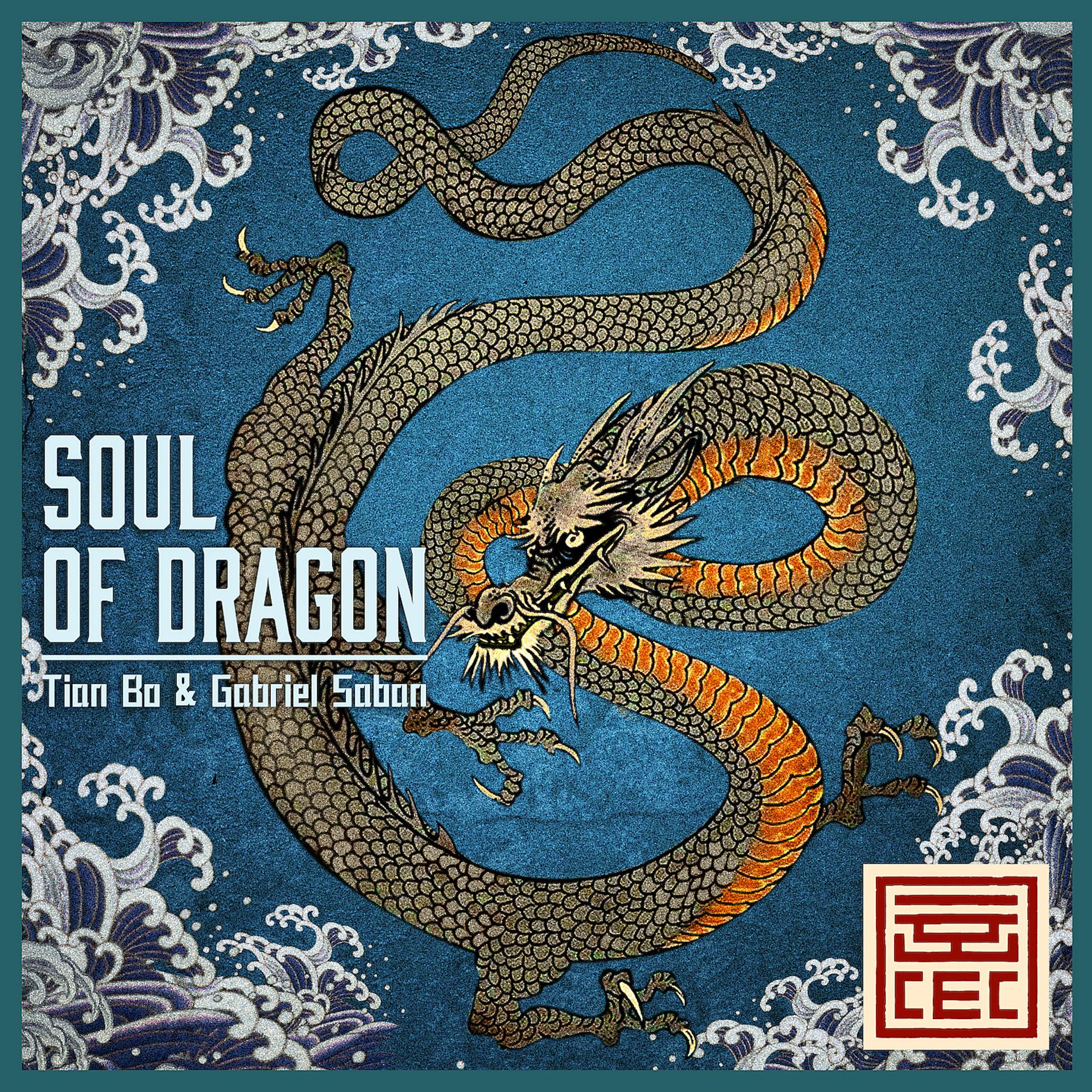 Постер альбома Soul of Dragon