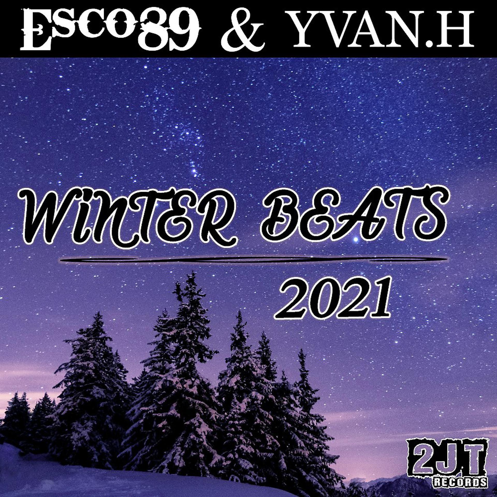 Постер альбома Winter Beats 2021