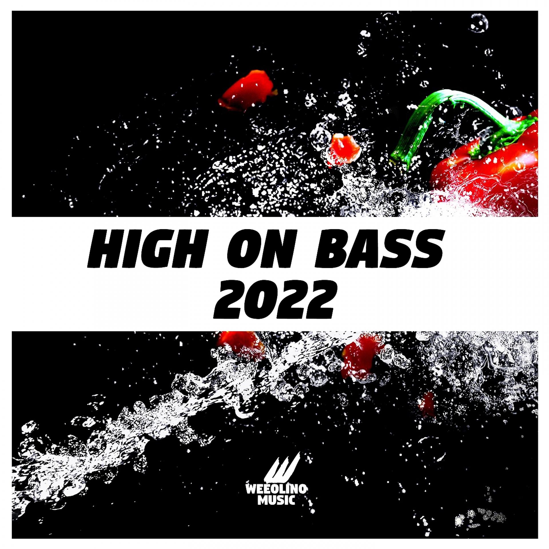 Постер альбома High On Bass 2022