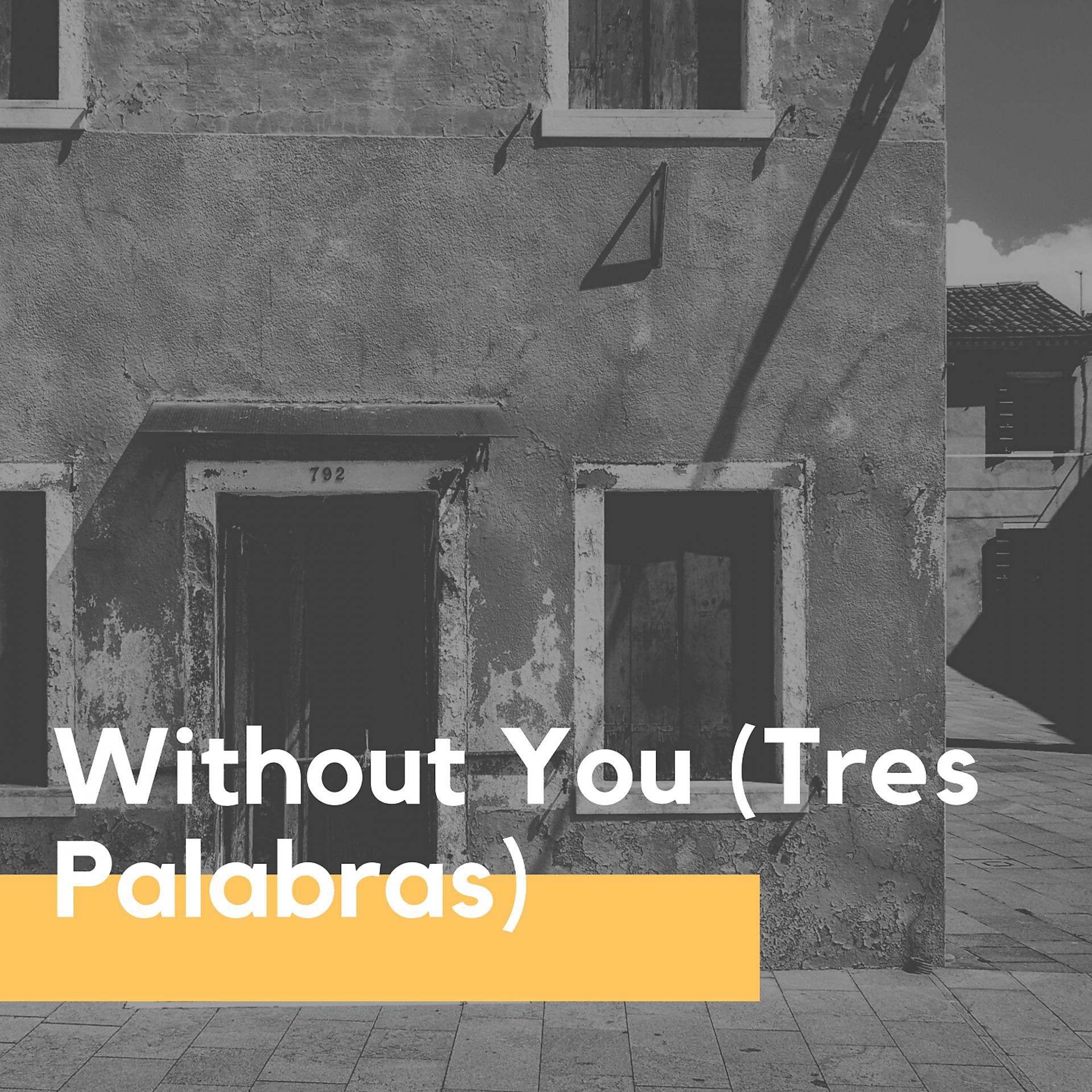 Постер альбома Without You (Tres Palabras)