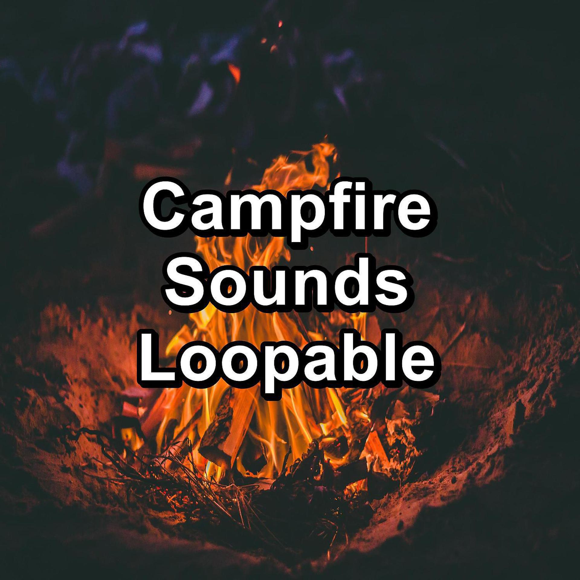 Постер альбома Campfire Sounds Loopable