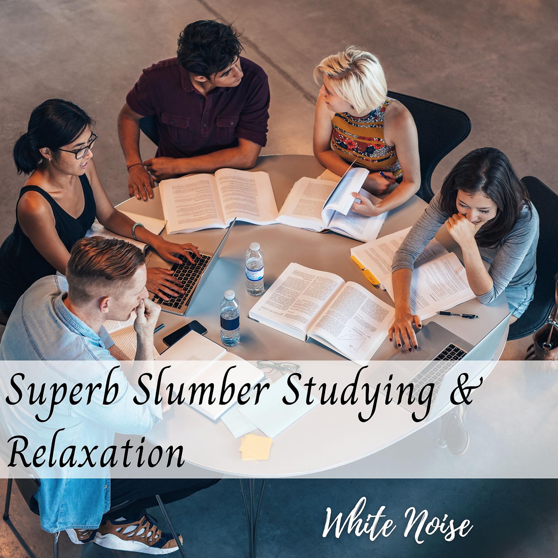 Постер альбома White Noise: Superb Slumber Studying & Relaxation