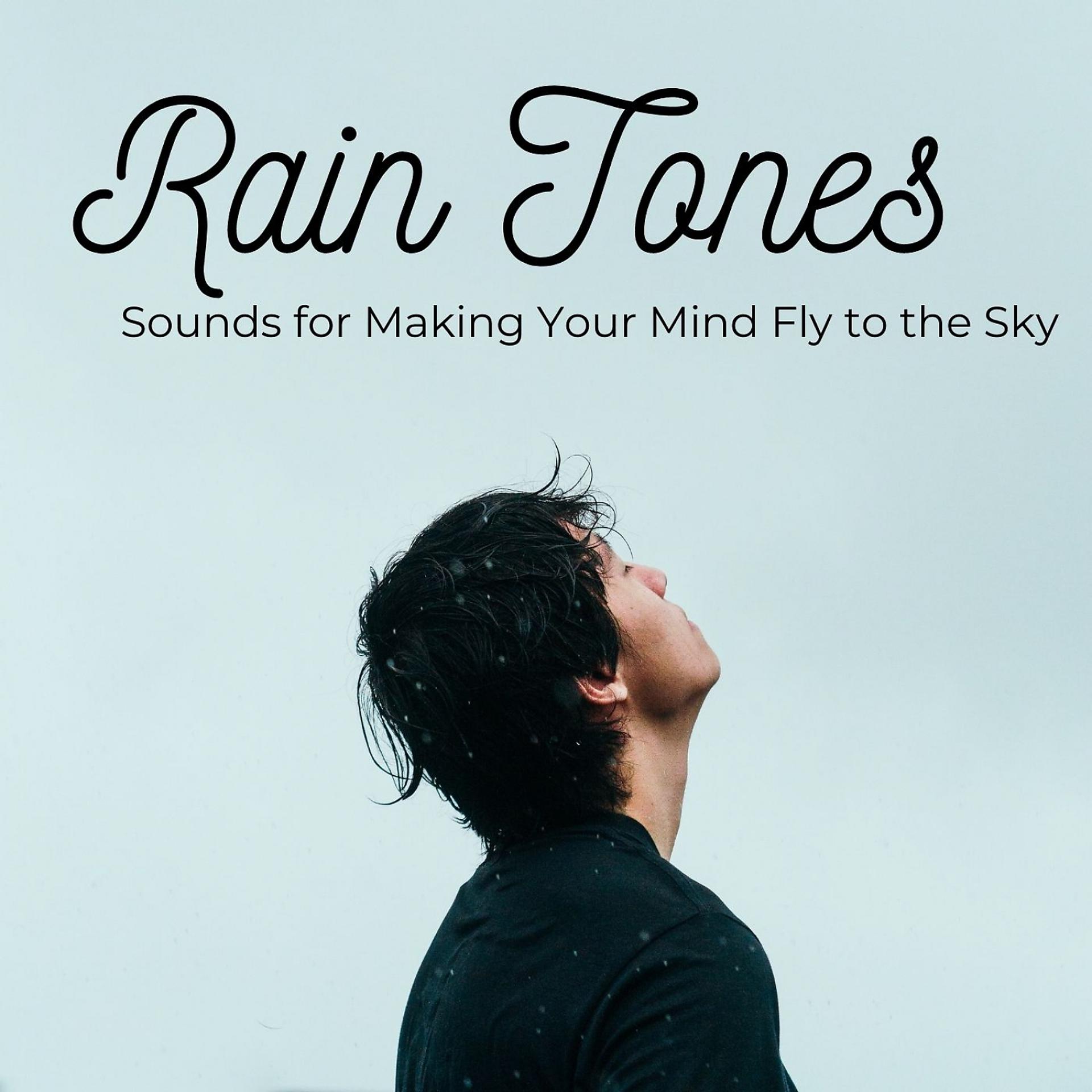 Постер альбома Rain Tones: Sounds for Making Your Mind Fly to the Sky