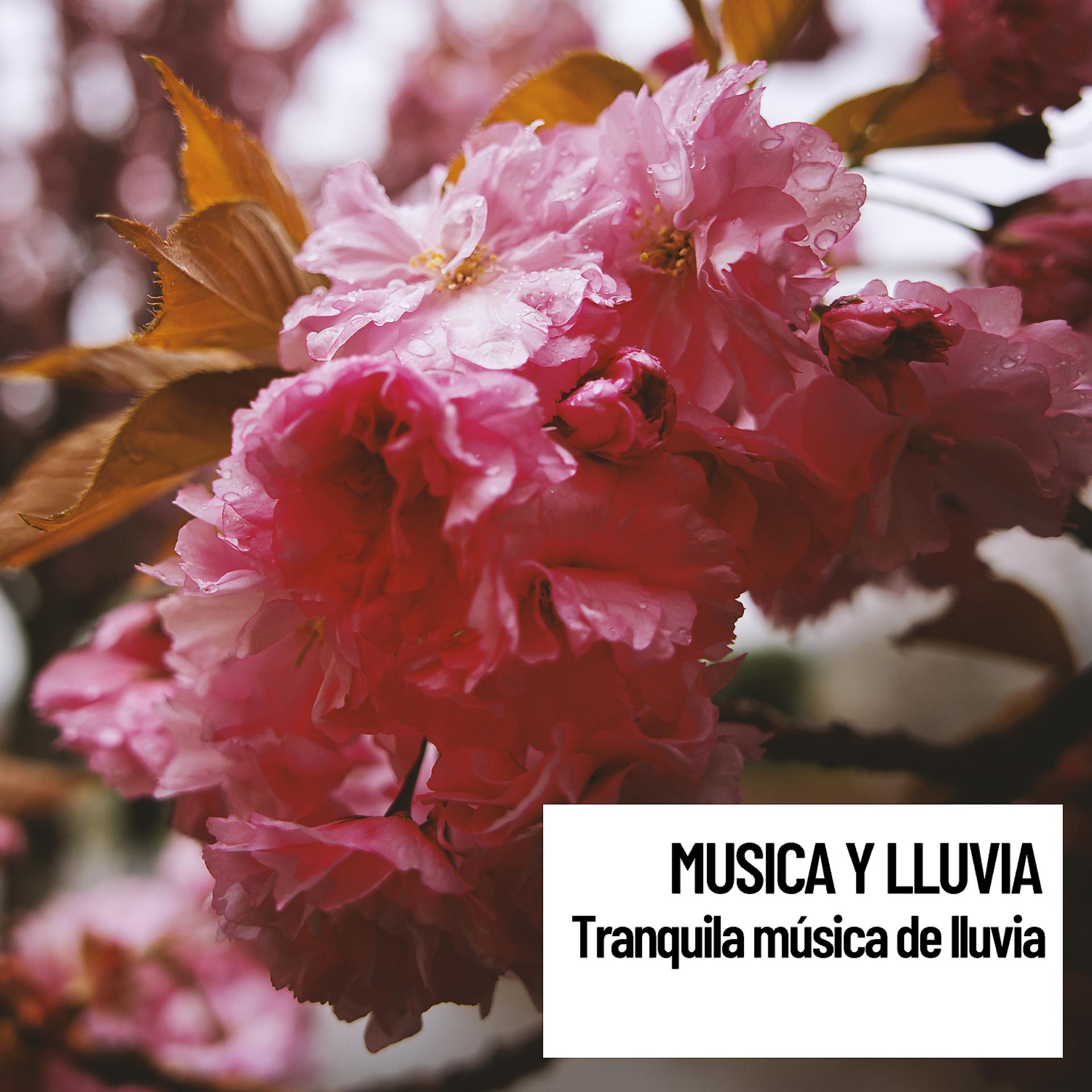 Постер альбома Musica y Lluvia: Tranquila música de lluvia
