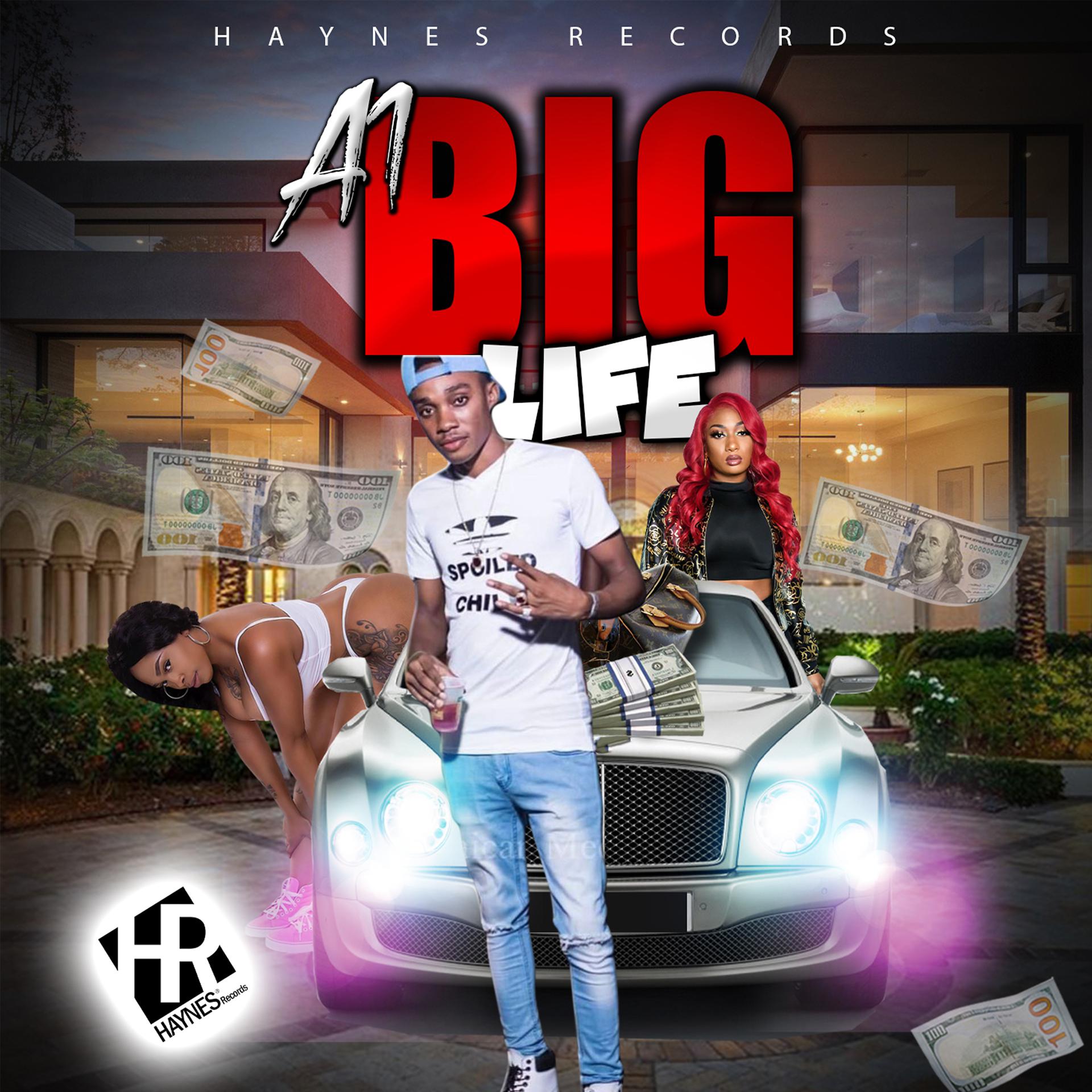 Постер альбома Big Life
