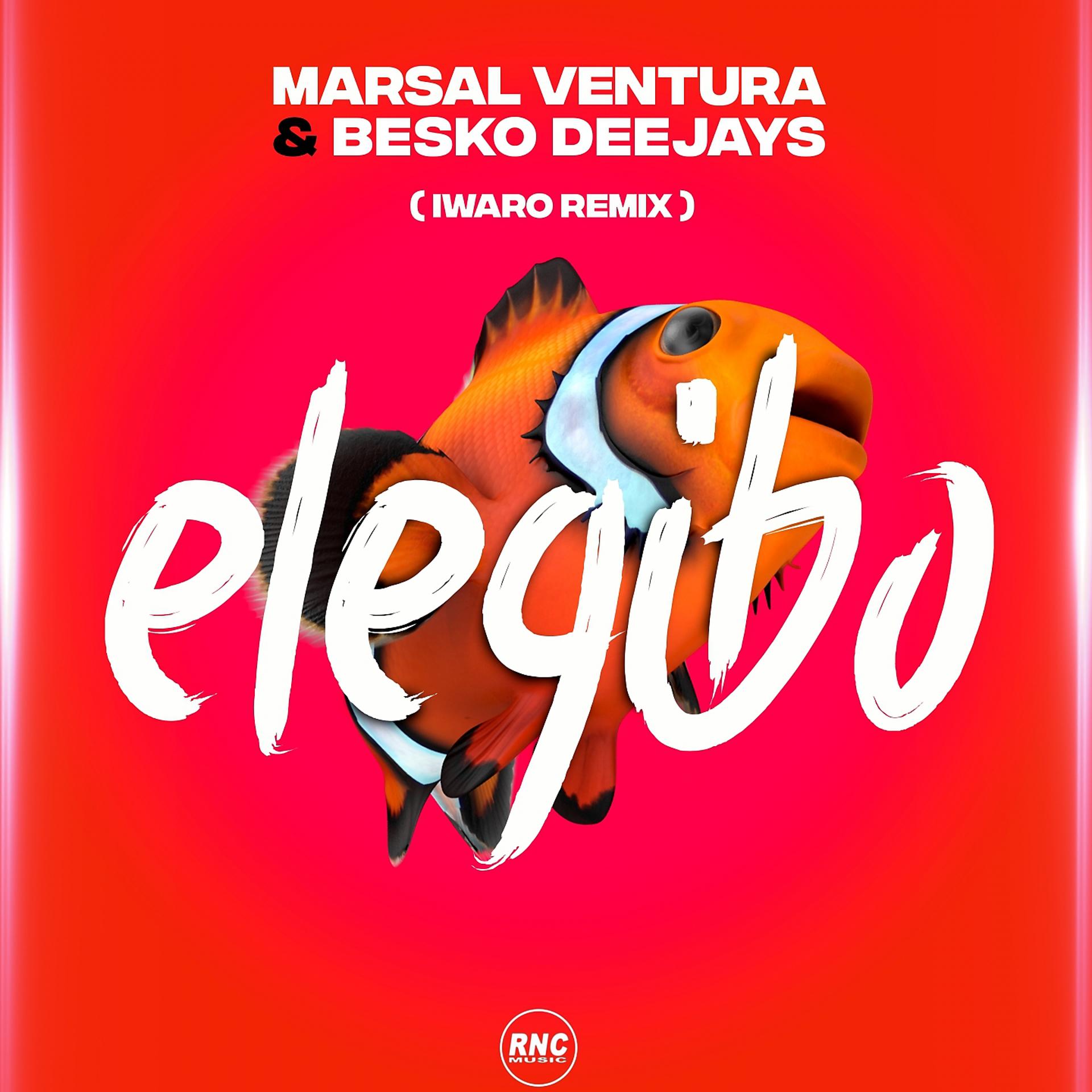 Постер альбома Elegibo Remix